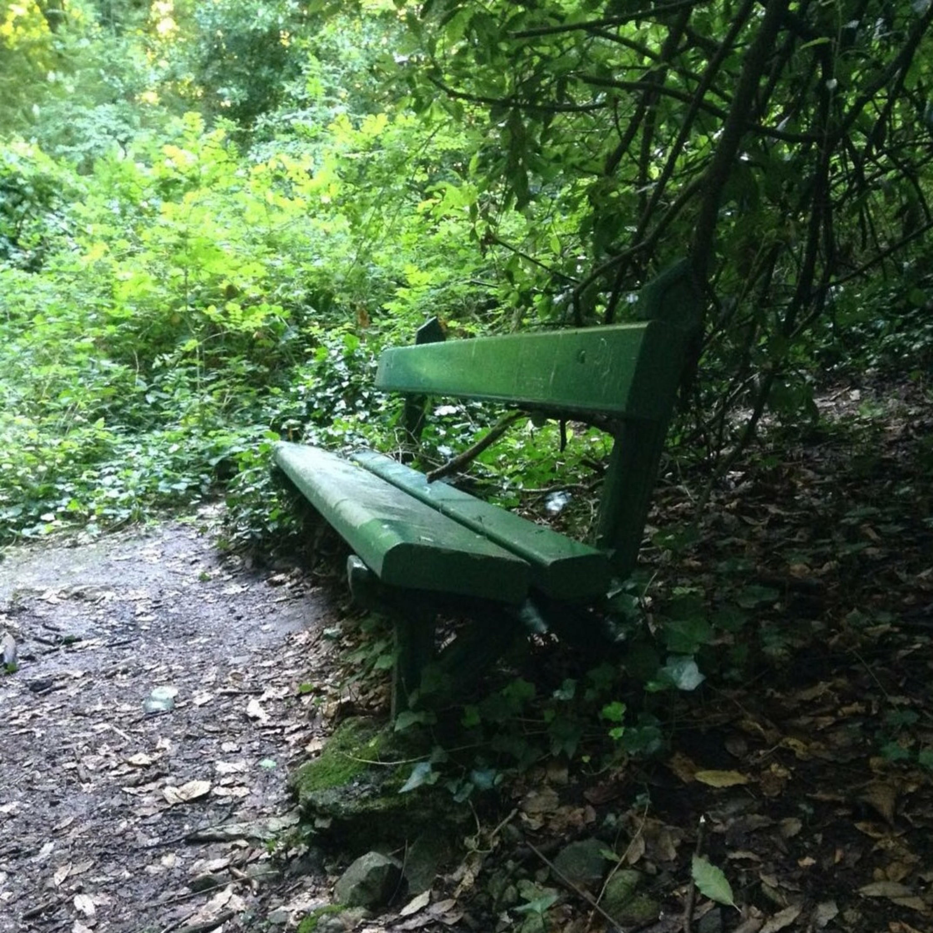 Yalnız Banklarda Bu Hafta cover art