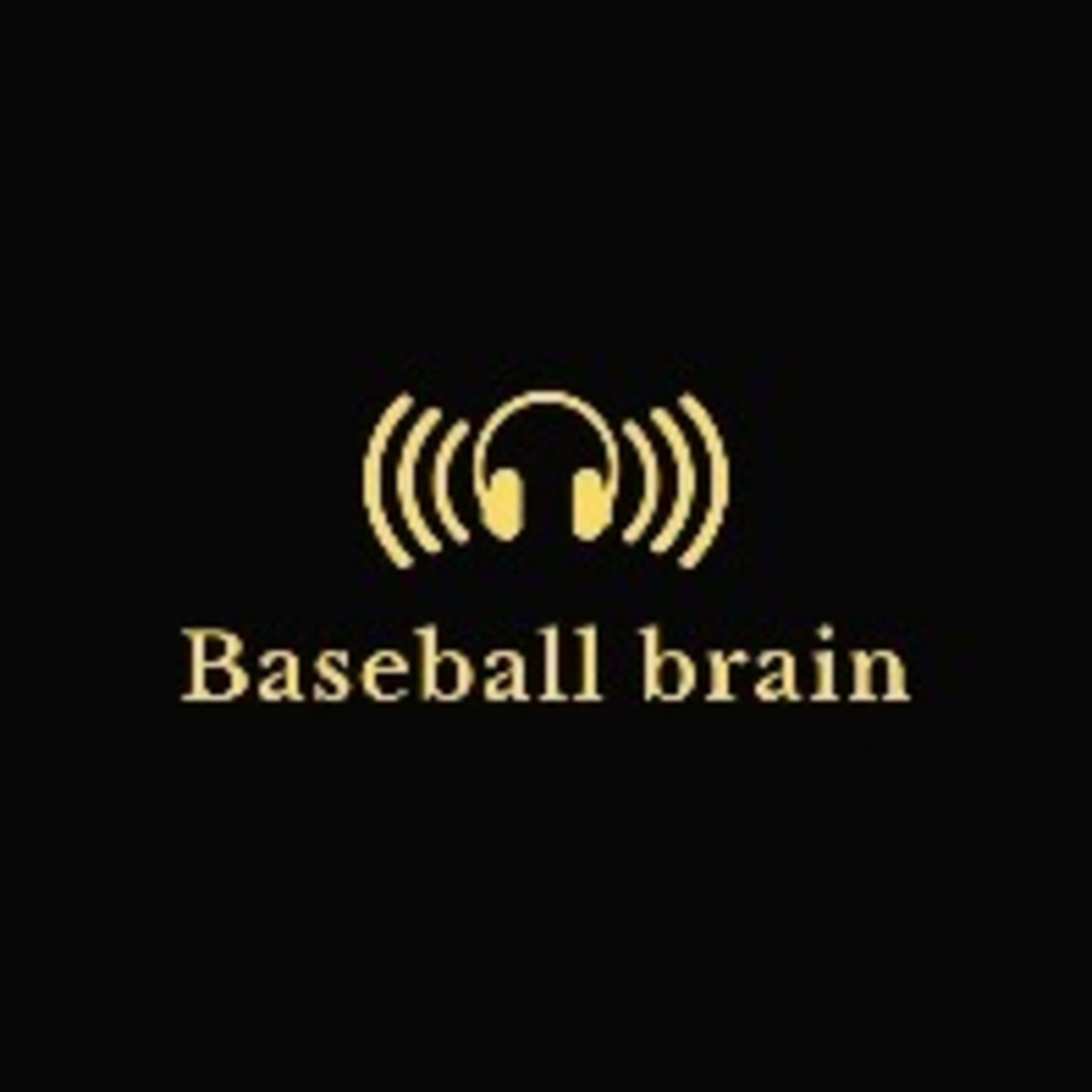 Baseball brain