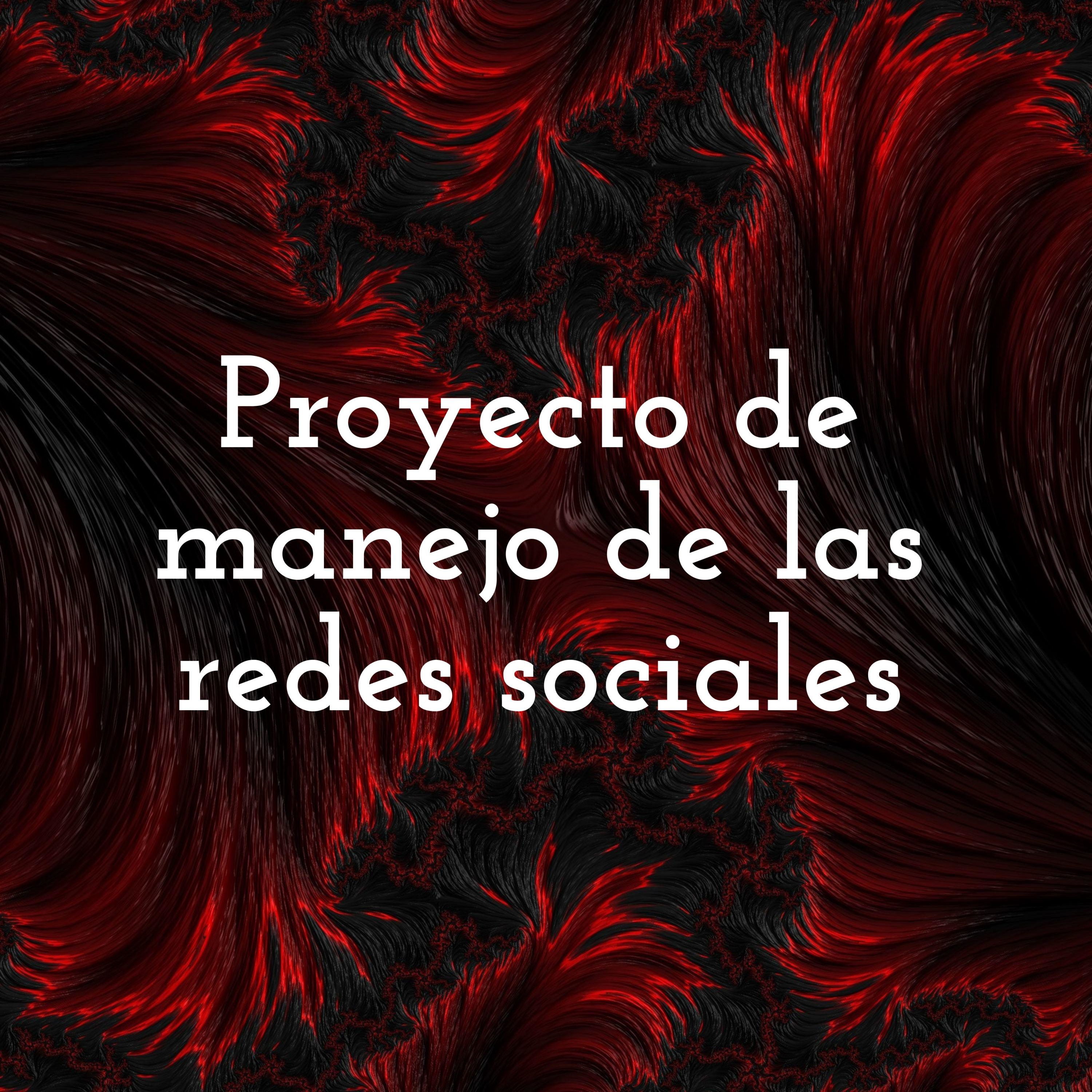 Proyecto de manejo de las redes sociales