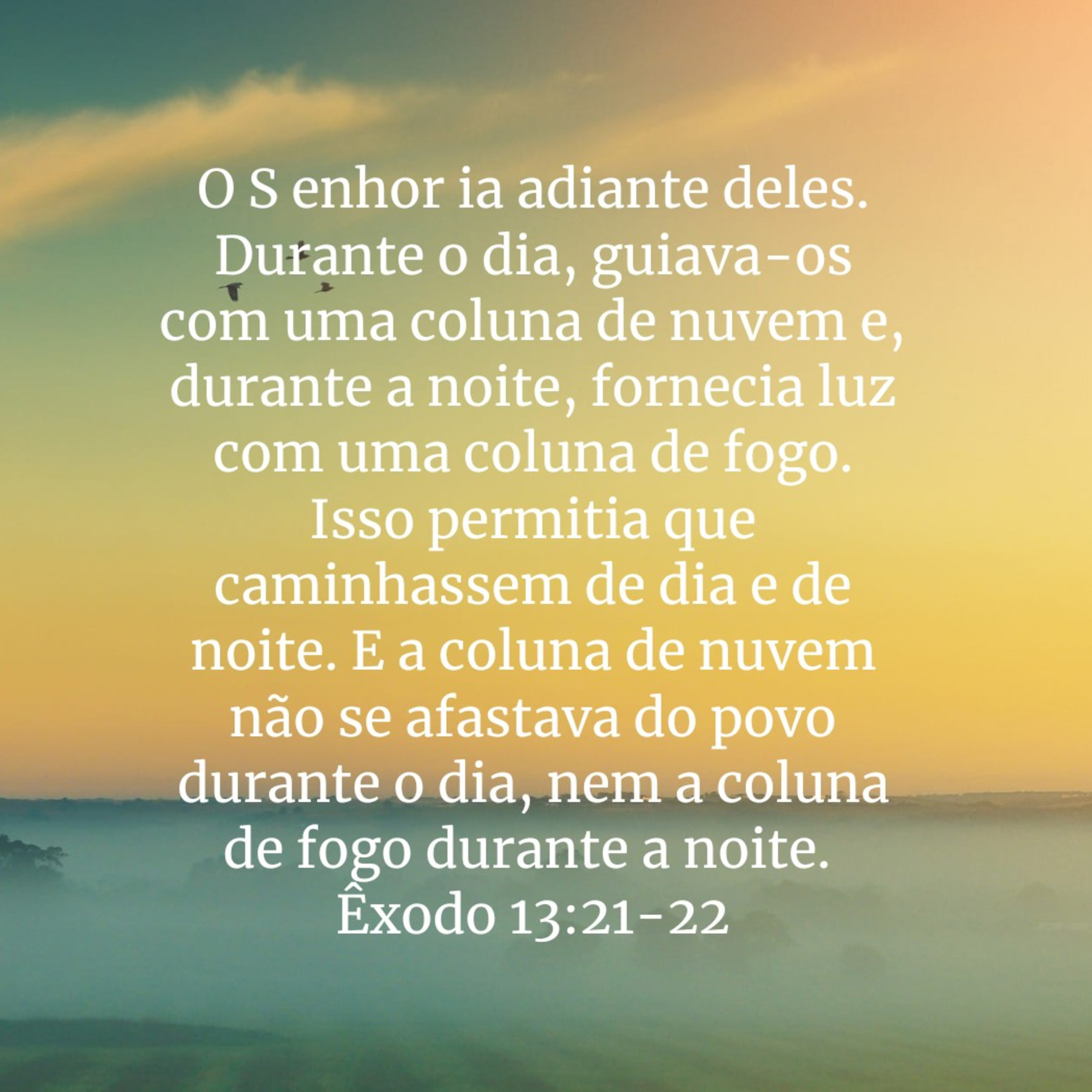 Seja feliz Pela Proteção De Deus