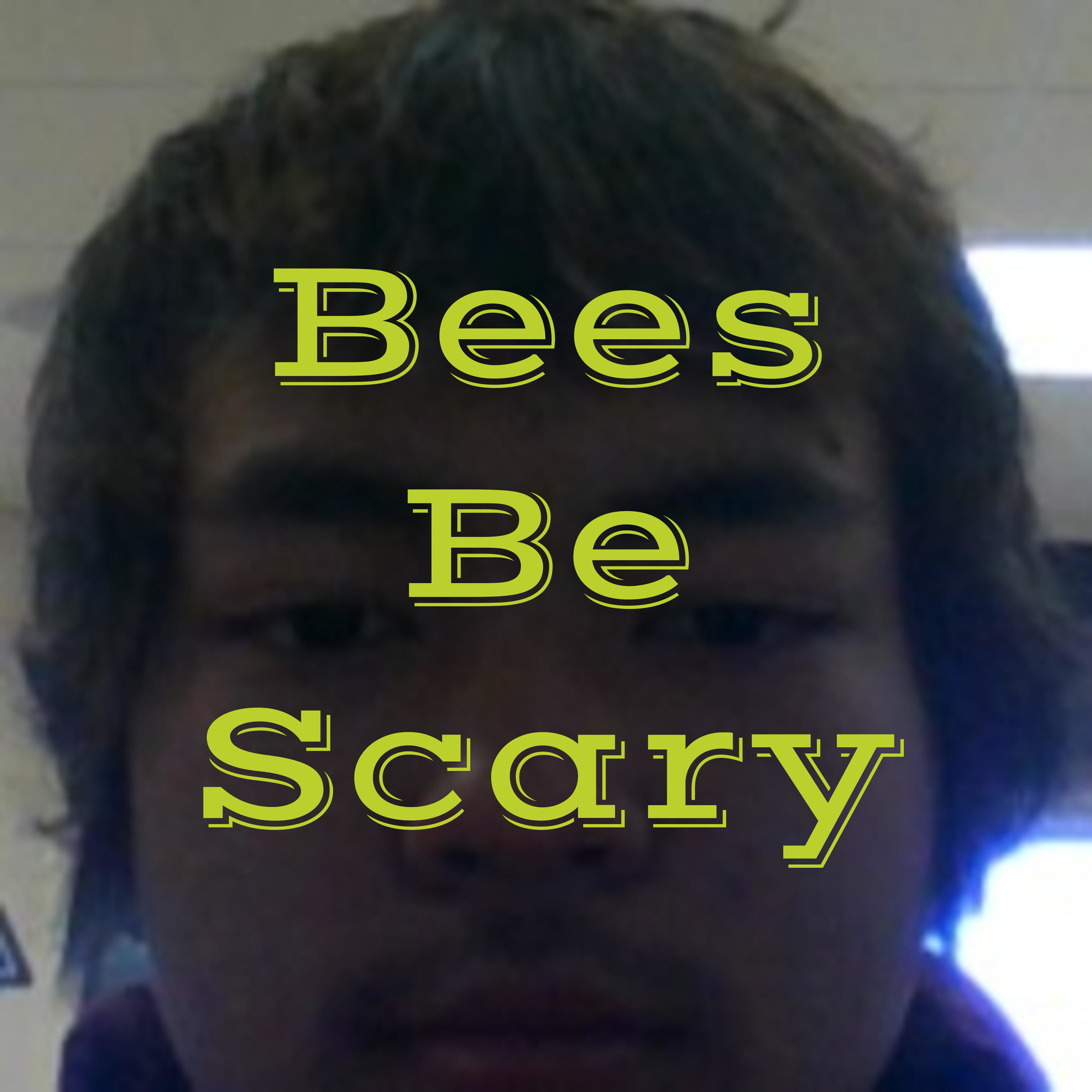 Bees Be Scary