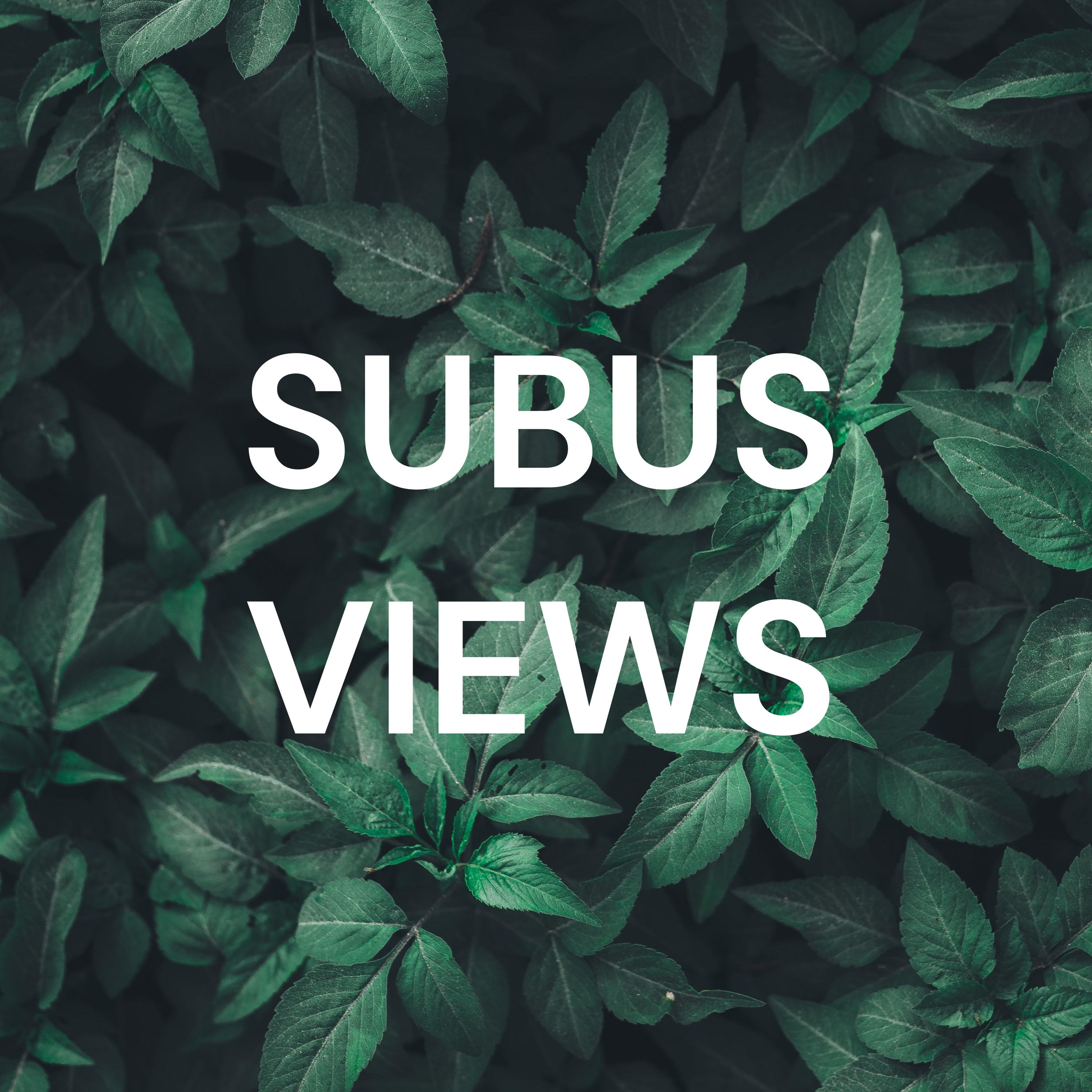 SUBUS VIEWS