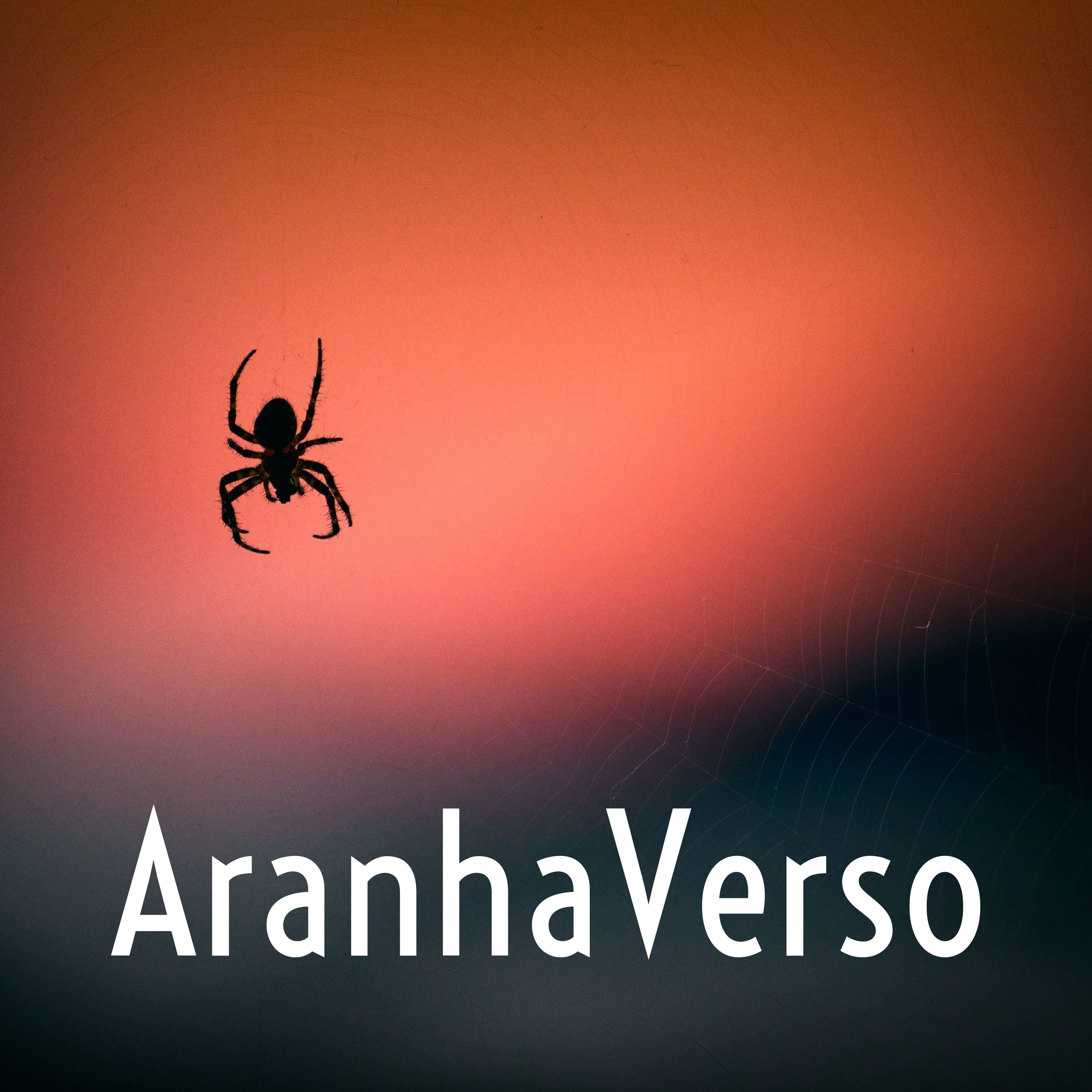 AranhaVerso