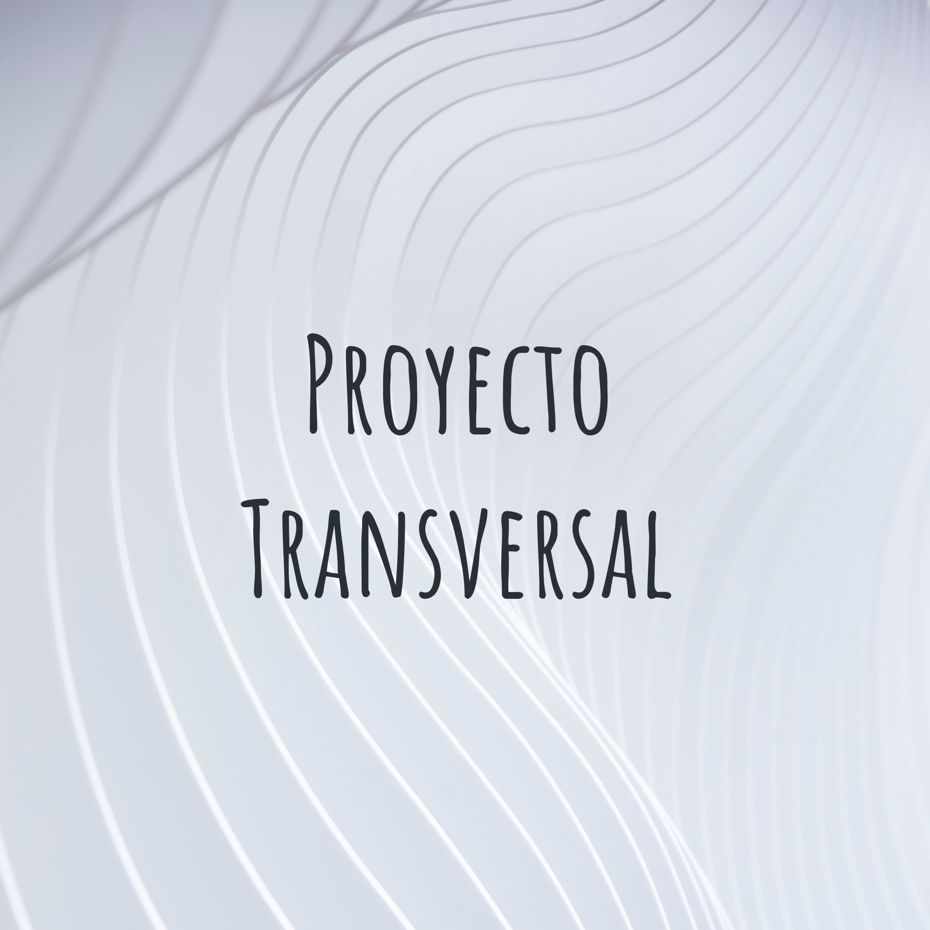 Proyecto Transversal
