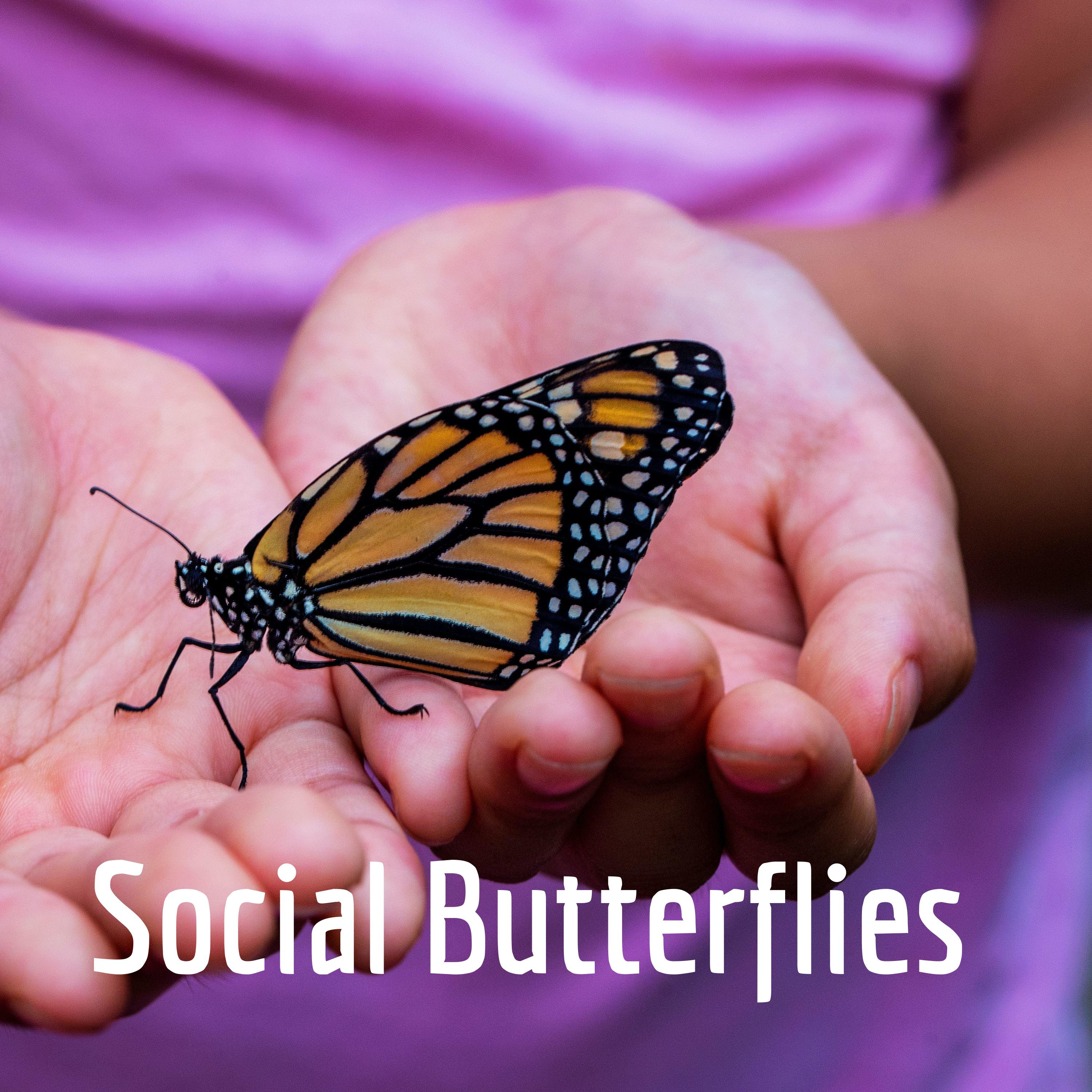 Social Butterflies