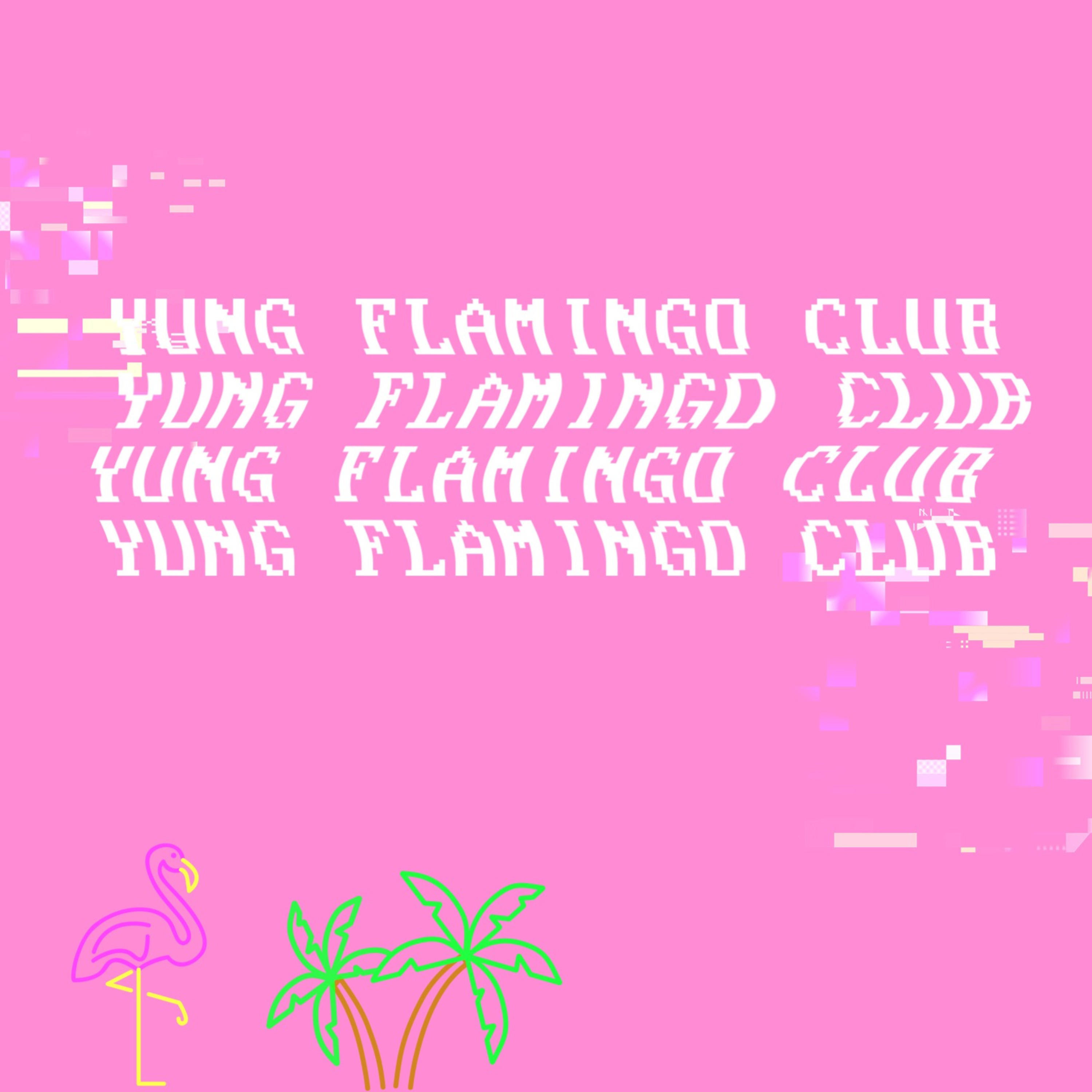 Yung Flamingo Club