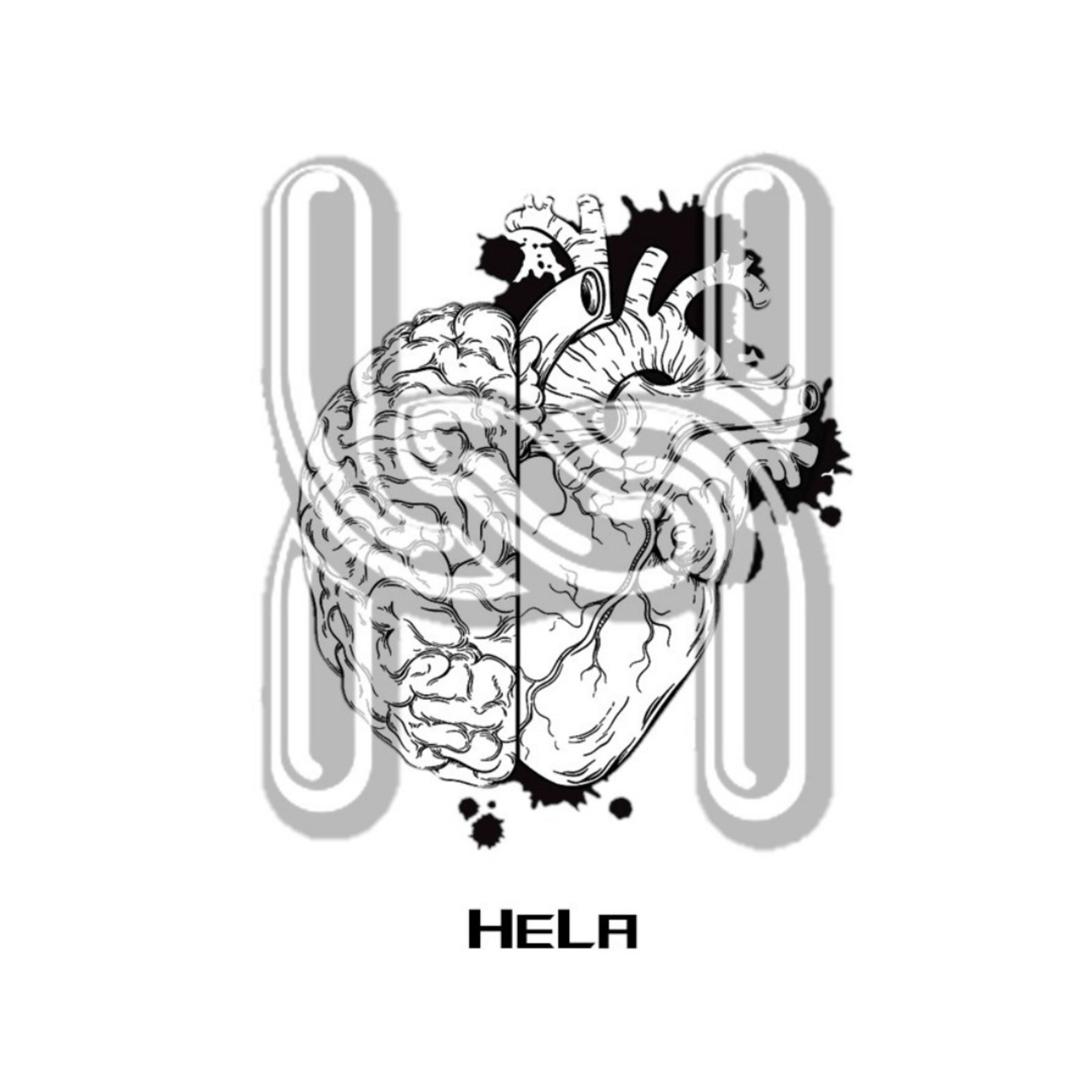 Ciencia En Menos De 5 Minutos