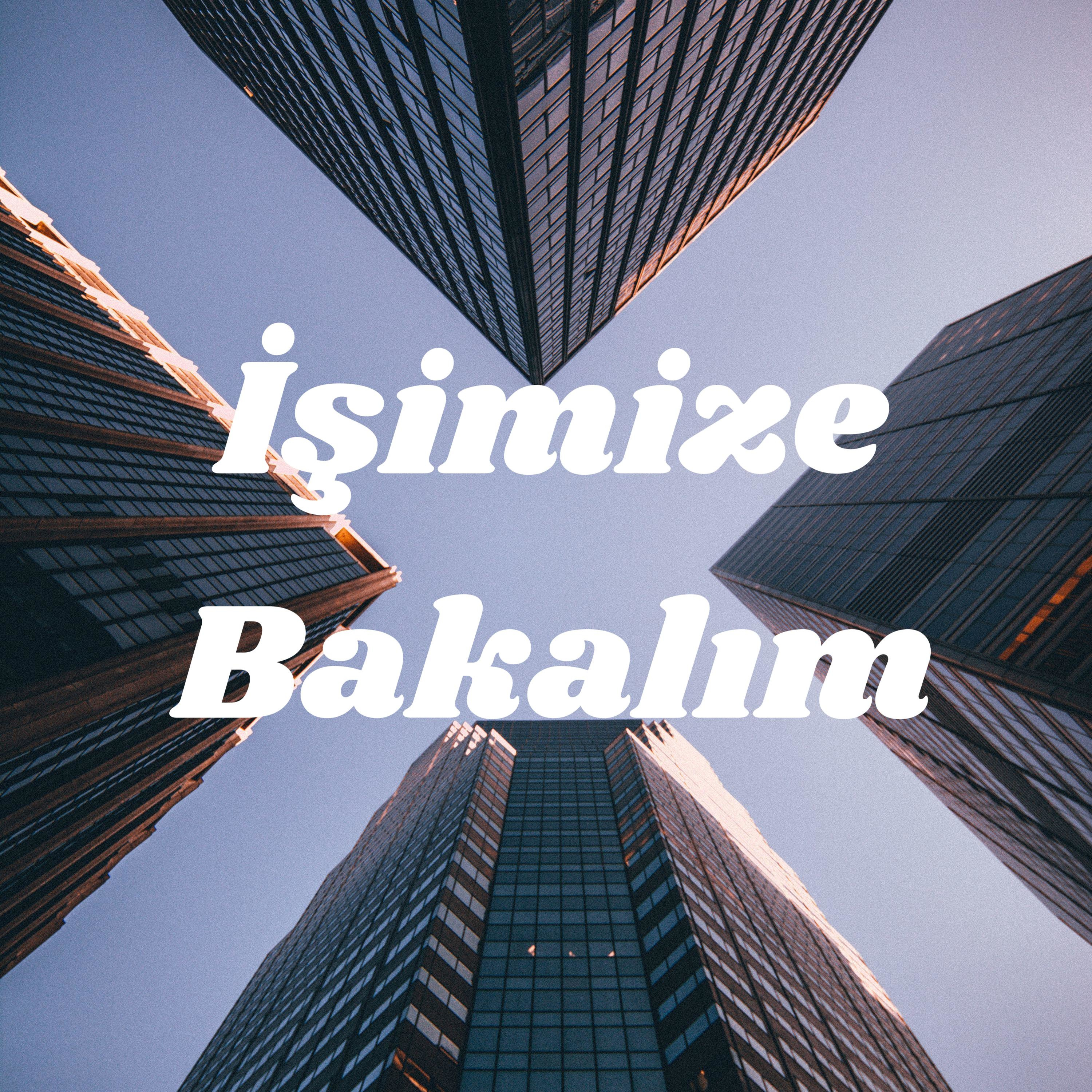 İşimize Bakalım