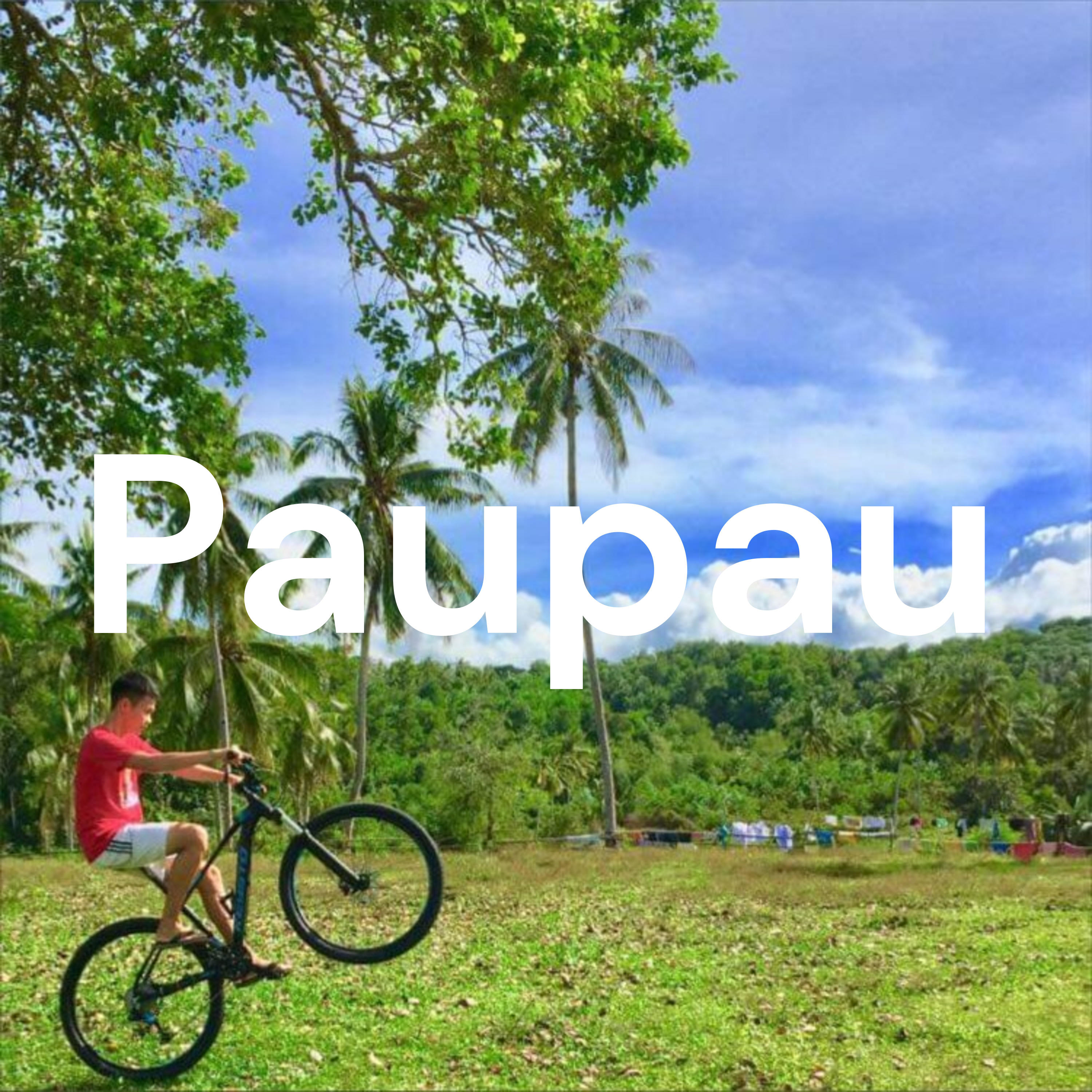Paupau