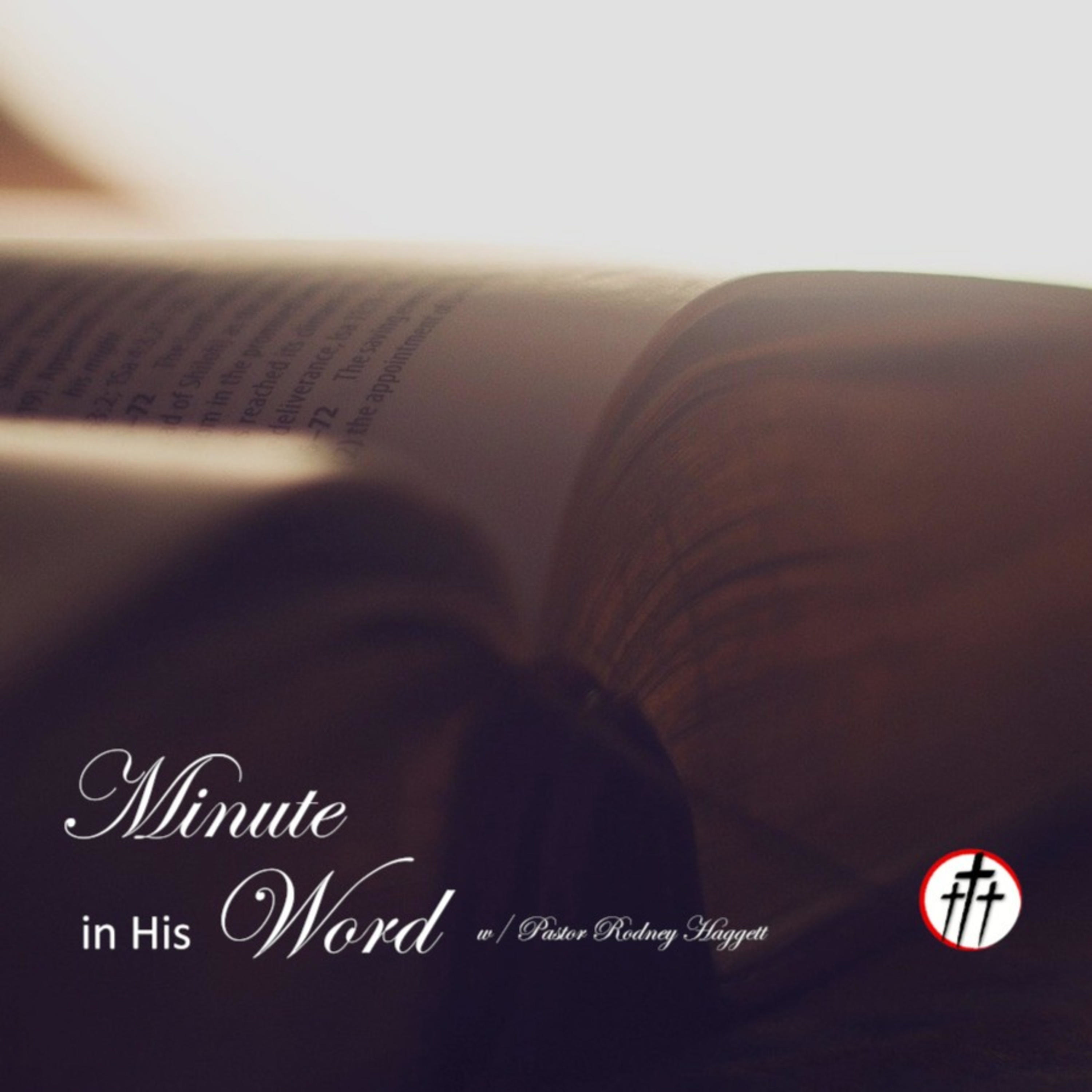Without Excuse | Romans 1:20