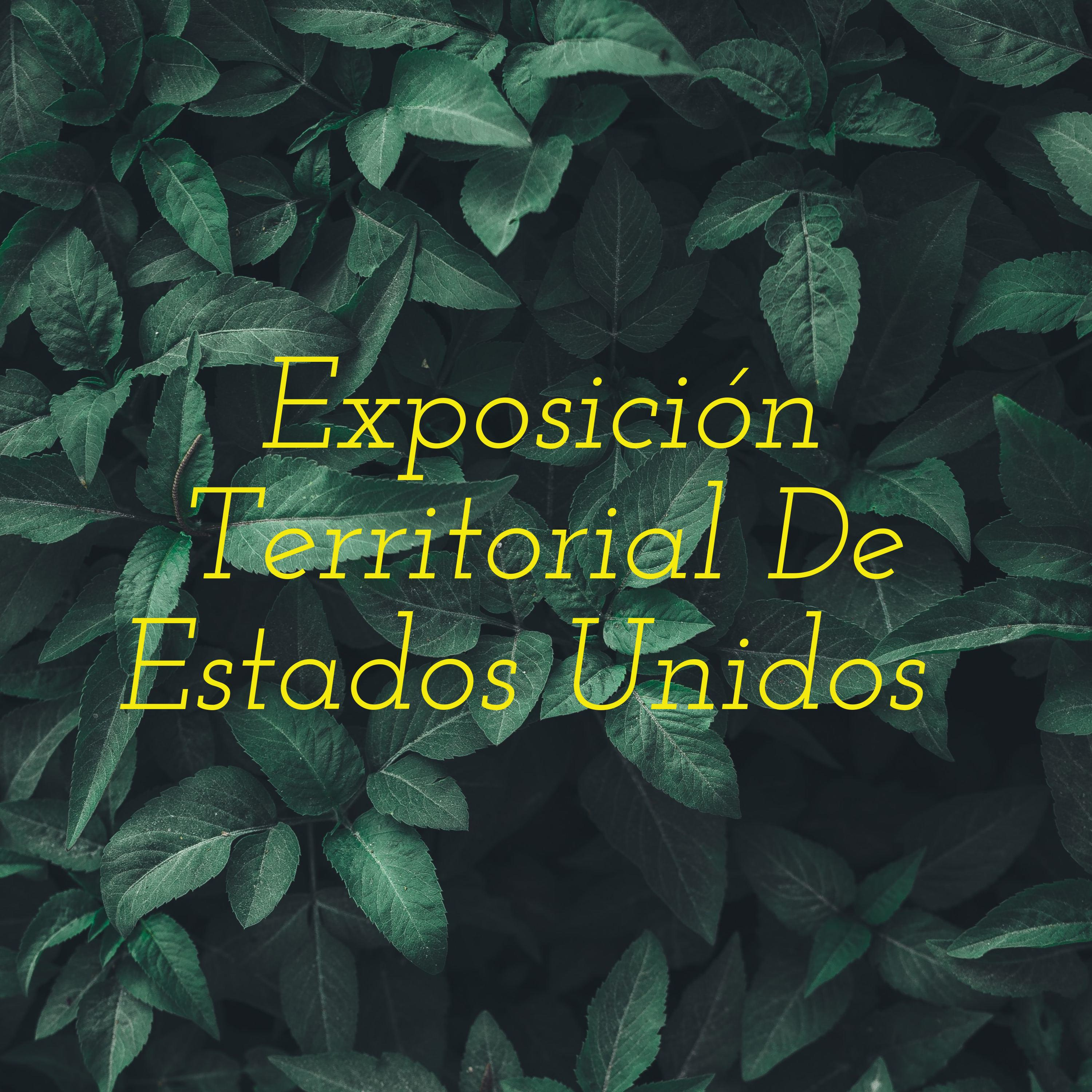 Exposición Territorial De Estados Unidos cover art