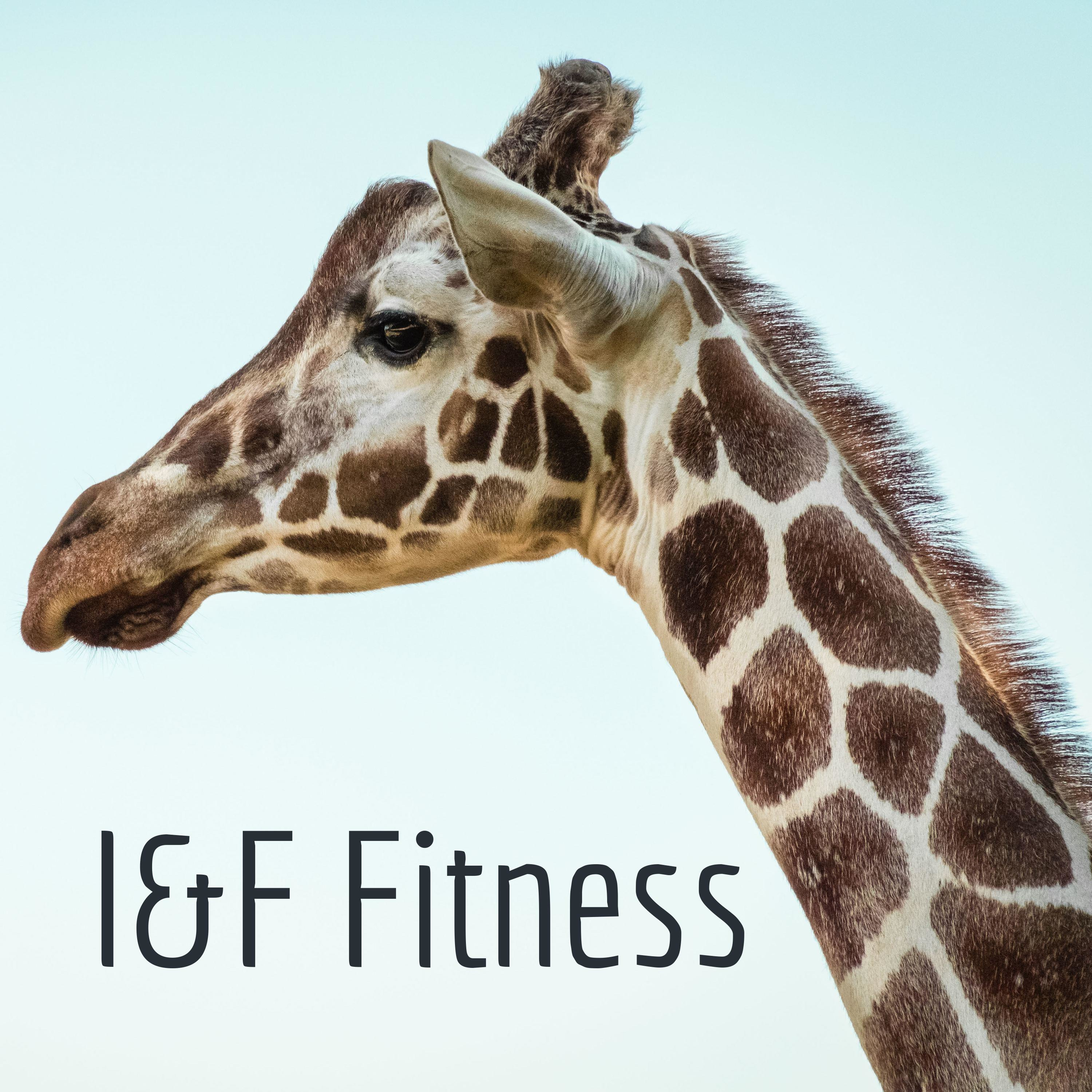 I&F Fitness