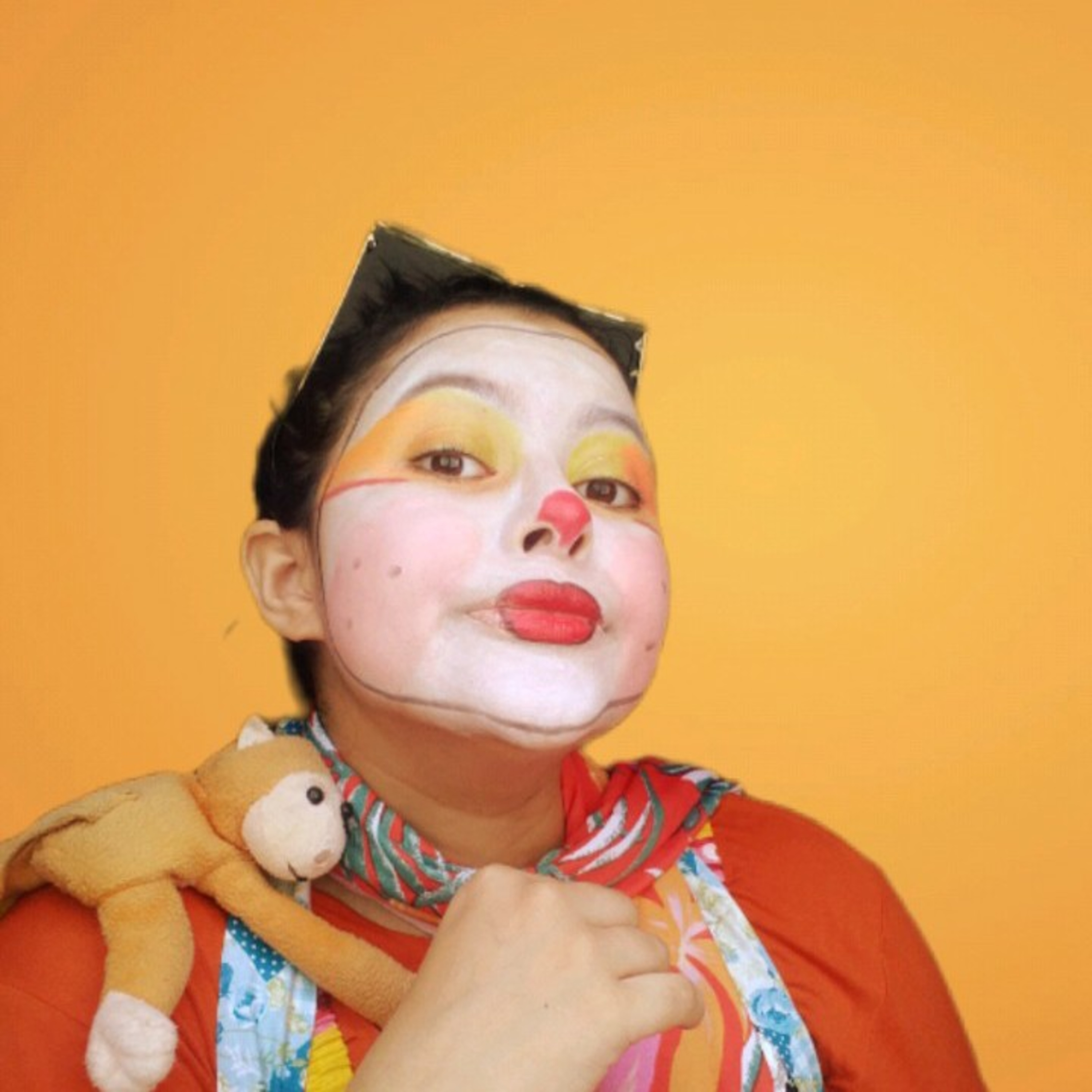 Contos de Palhaçaria