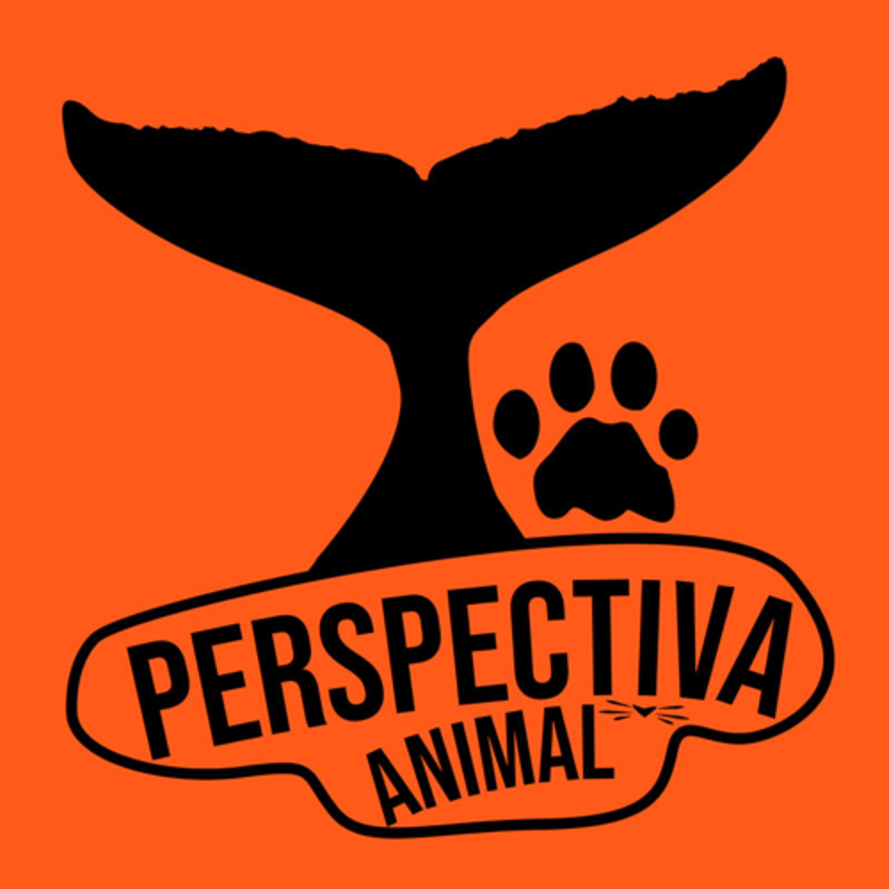 Perspectiva Animal cover art