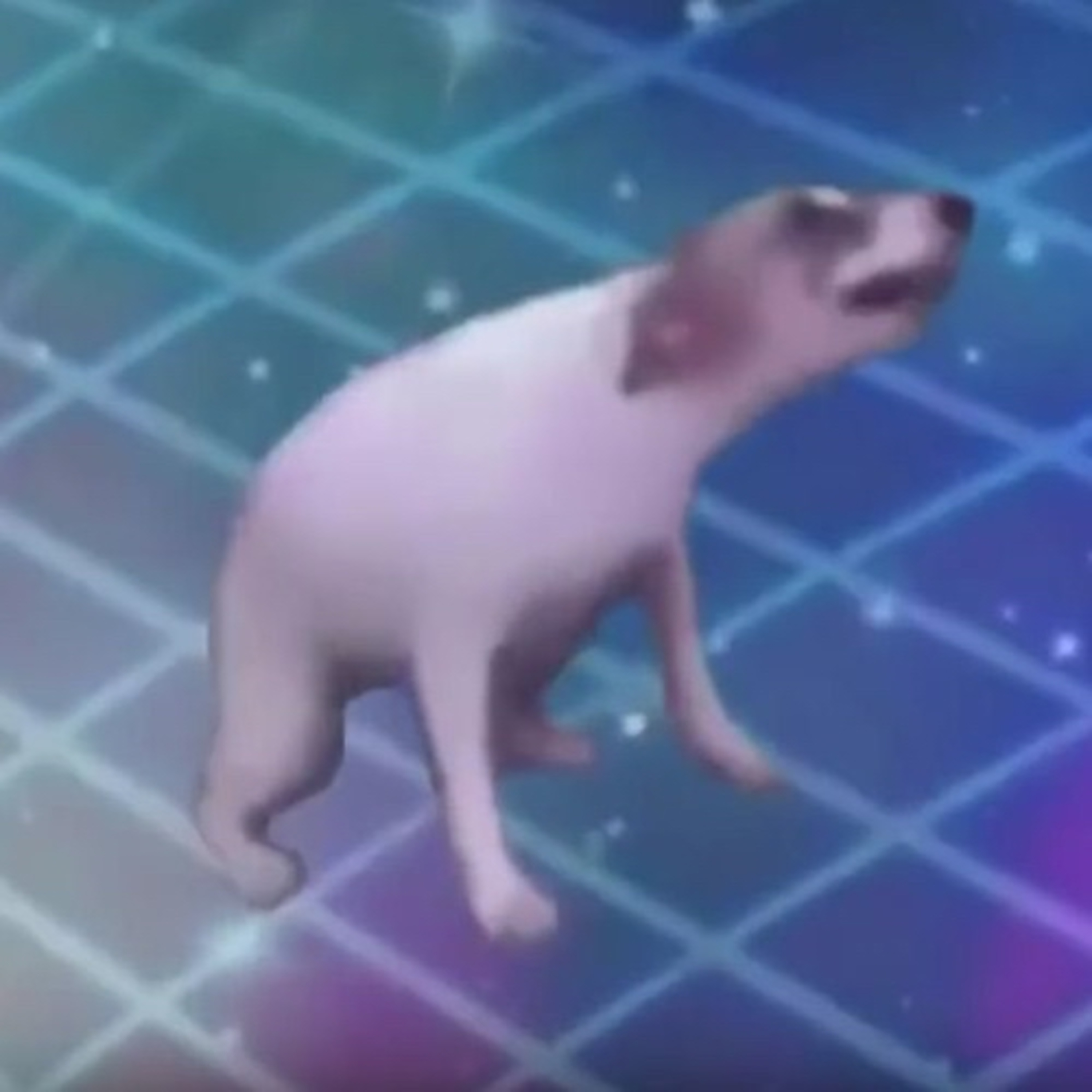 The Zooted Zoomers Podcast