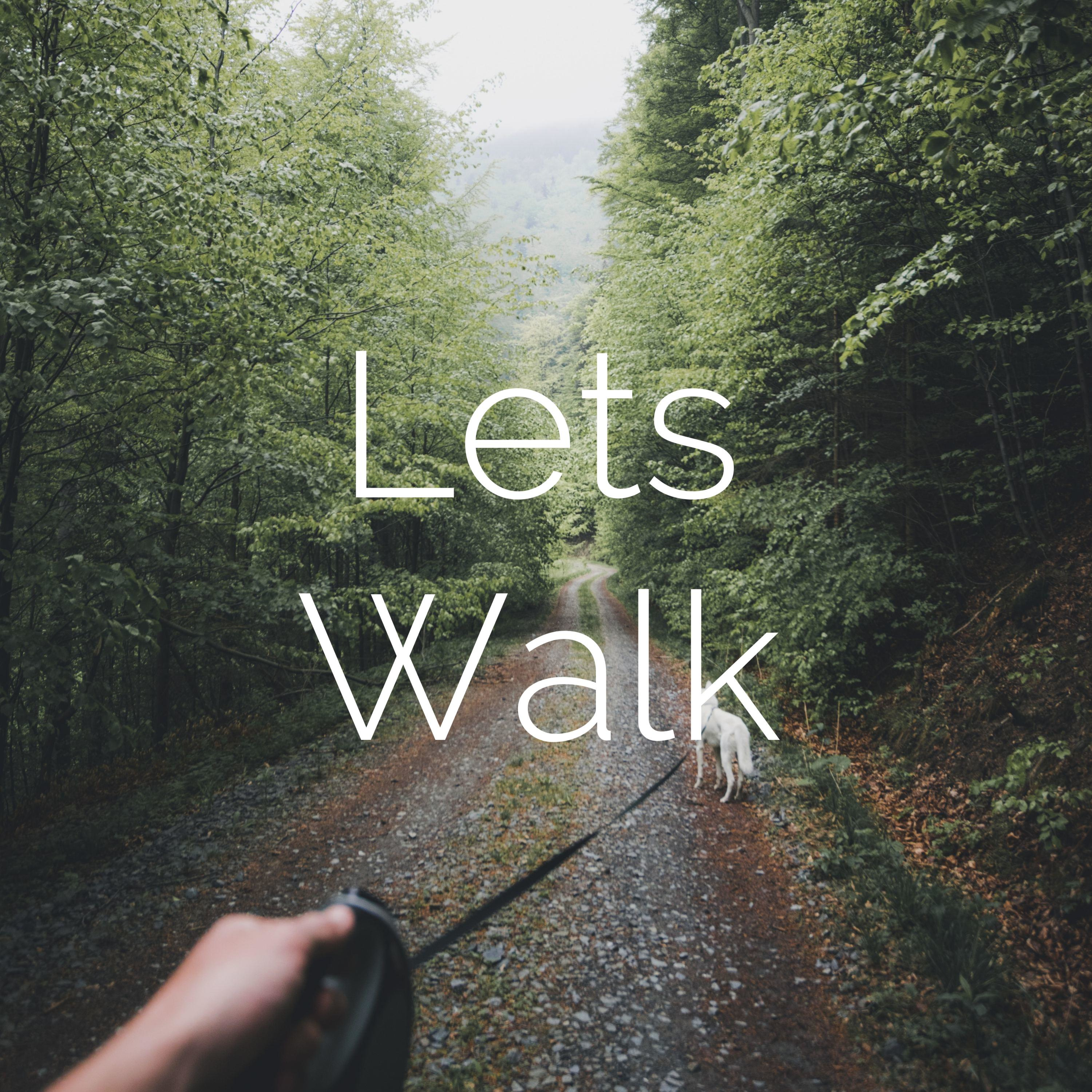 Lets Walk
