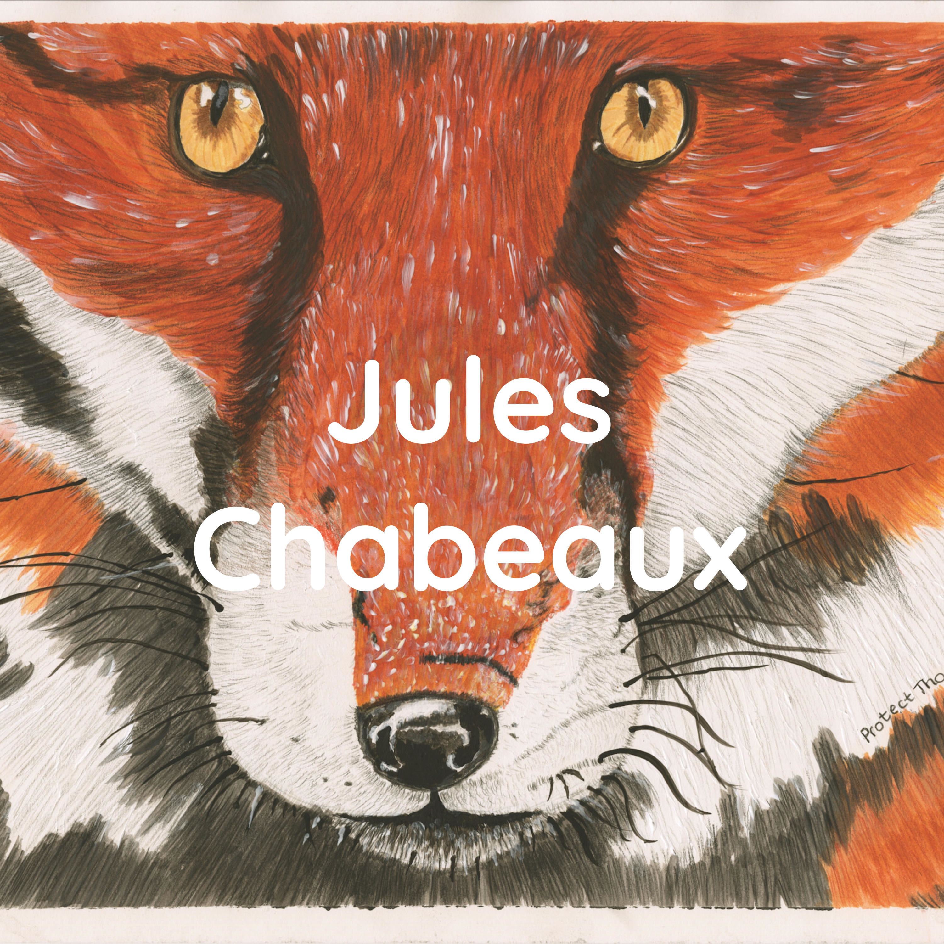 Jules Chabeaux - Wildlife Artist