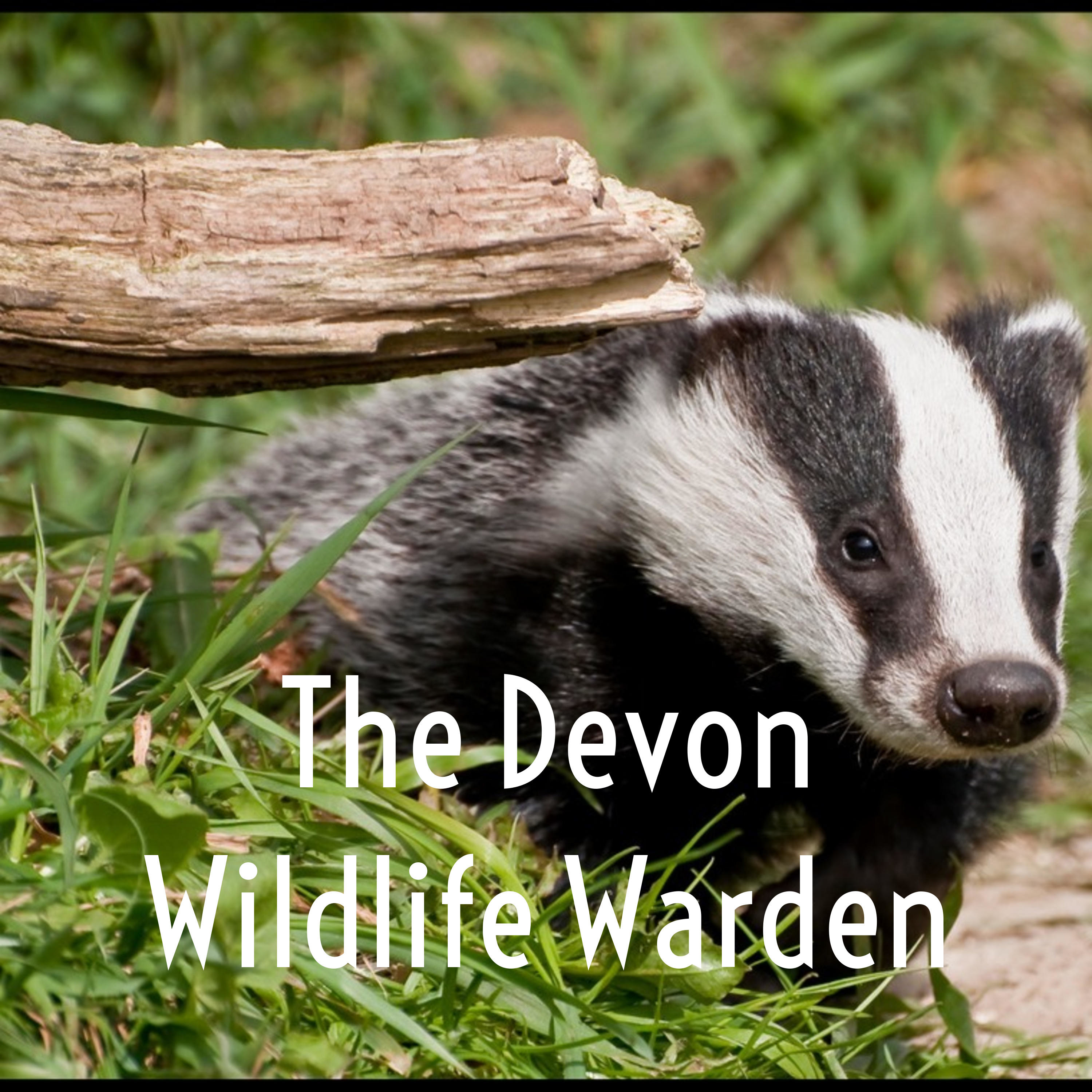 The Devon Wildlife Warden