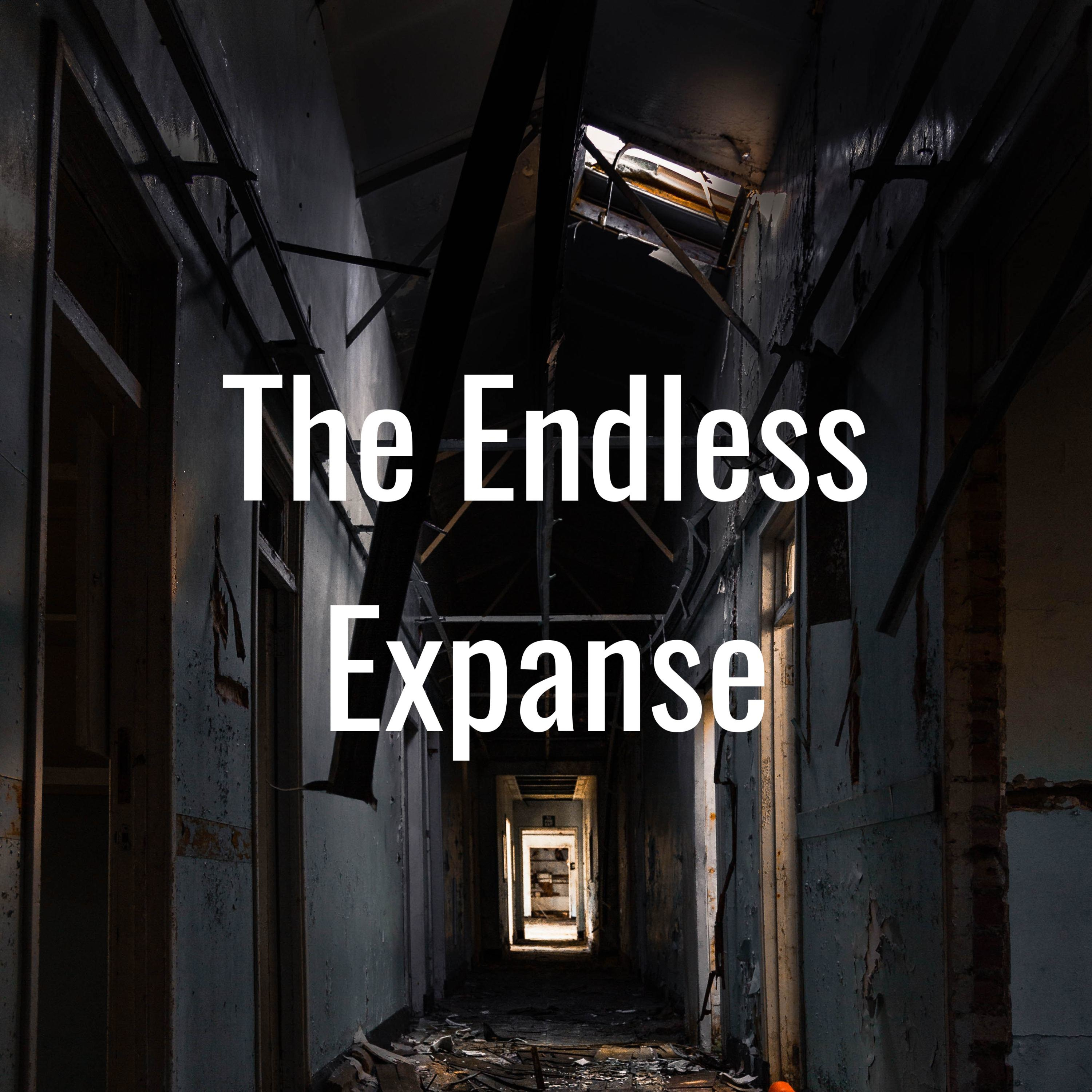 The Endless Expanse:Erich Huber The Endless Expanse:Erich Huber