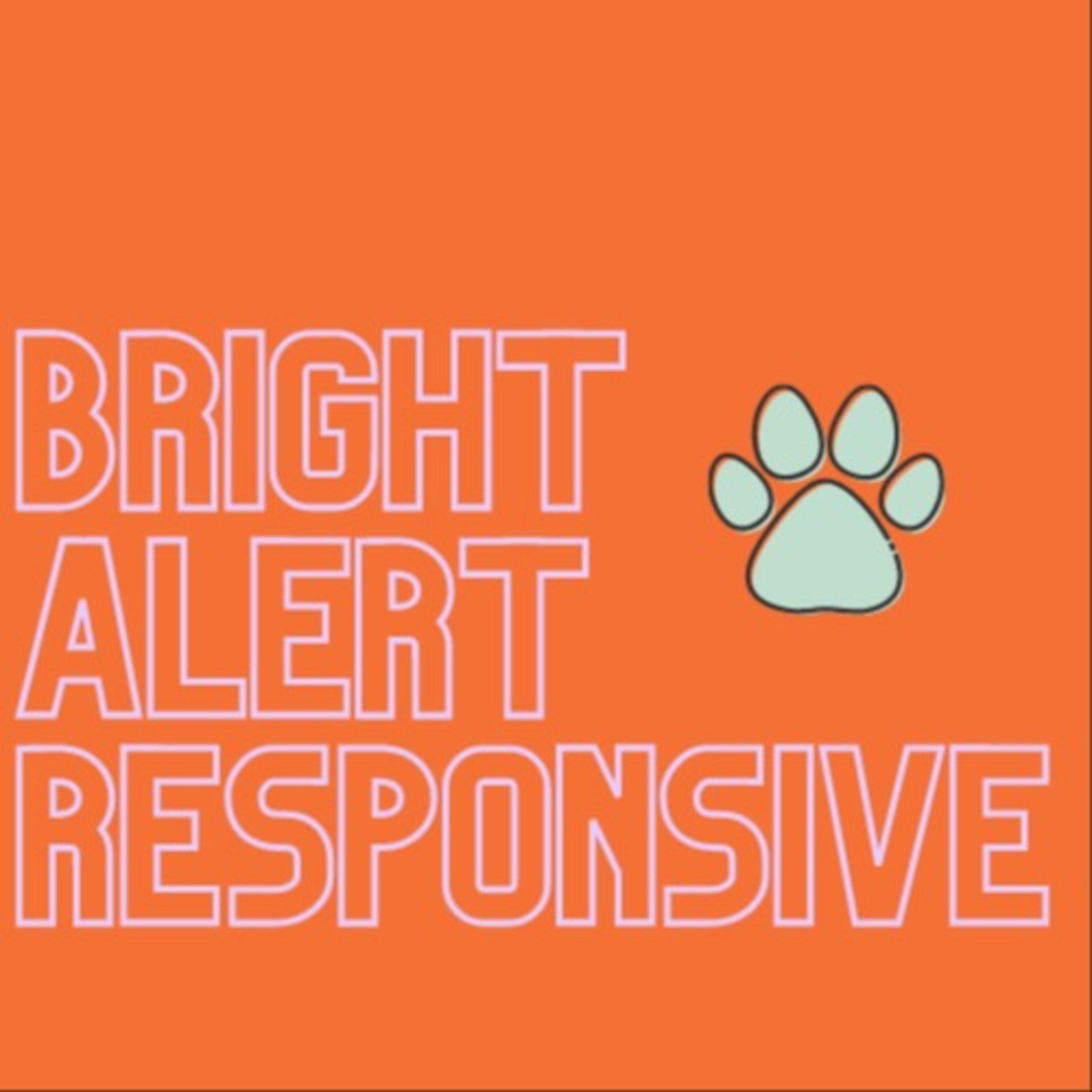 Bright, Alert, Responsive