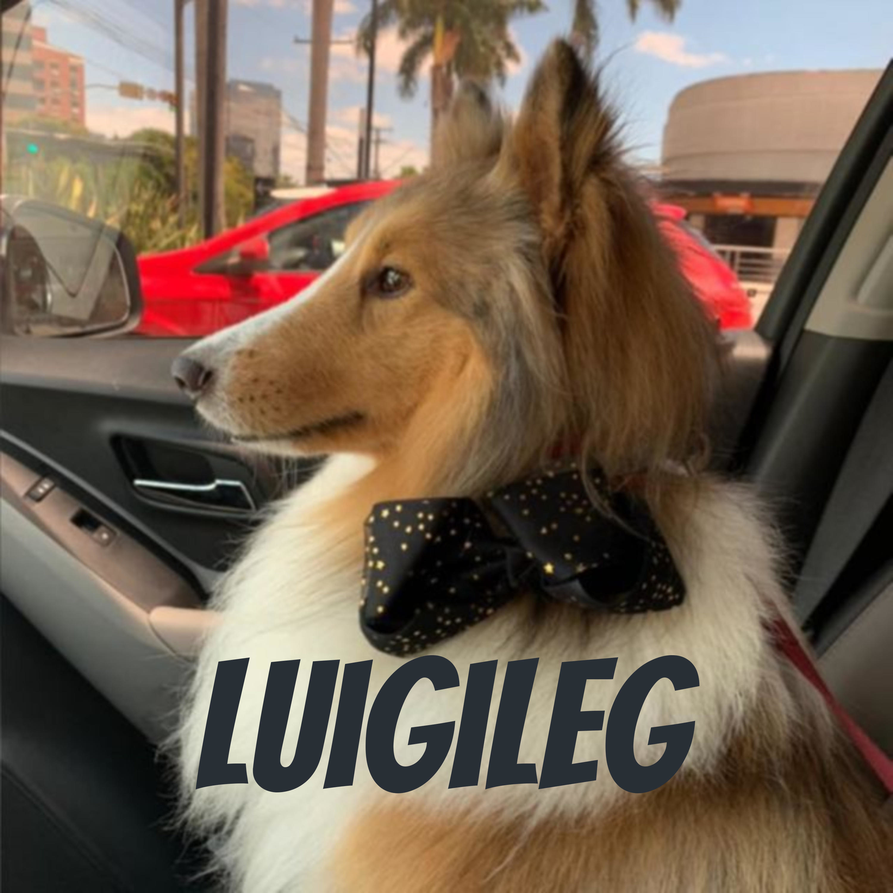 luigileg