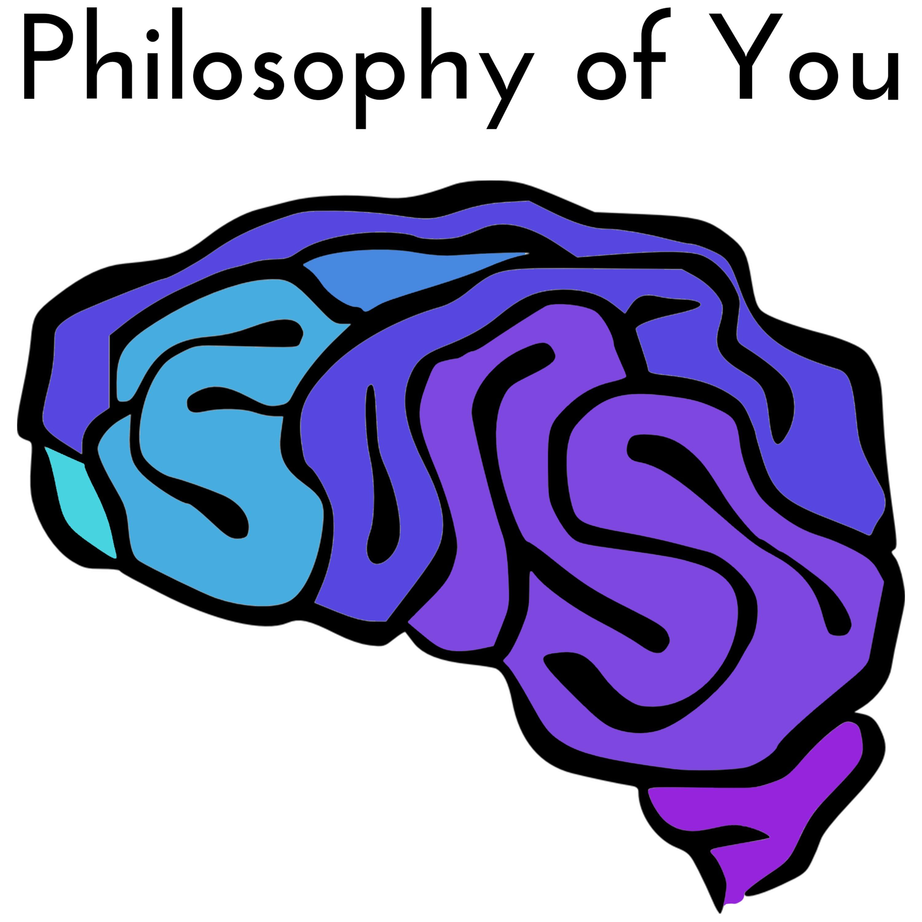 The Elephant In Your Brain | POY #4