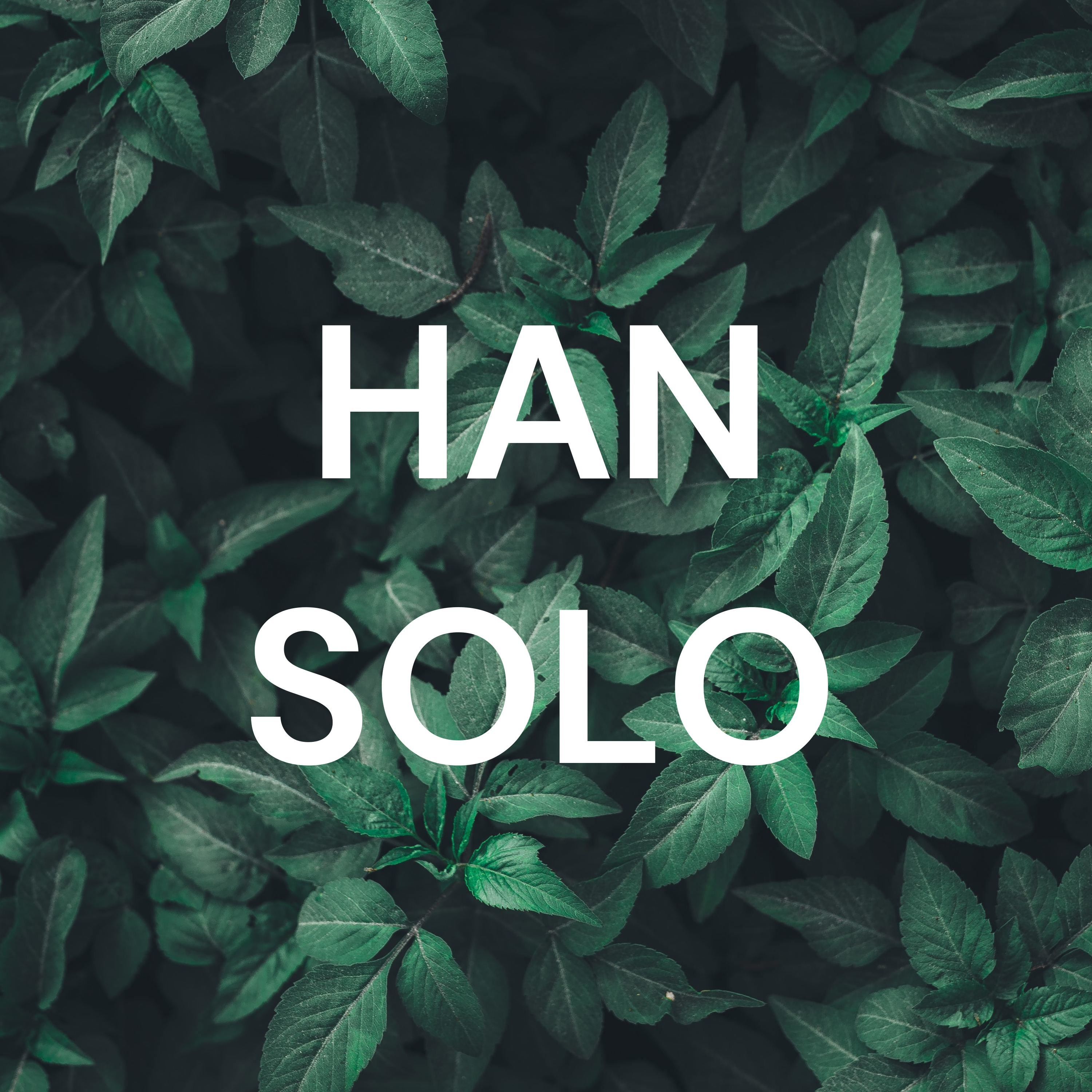 HAN SOLO