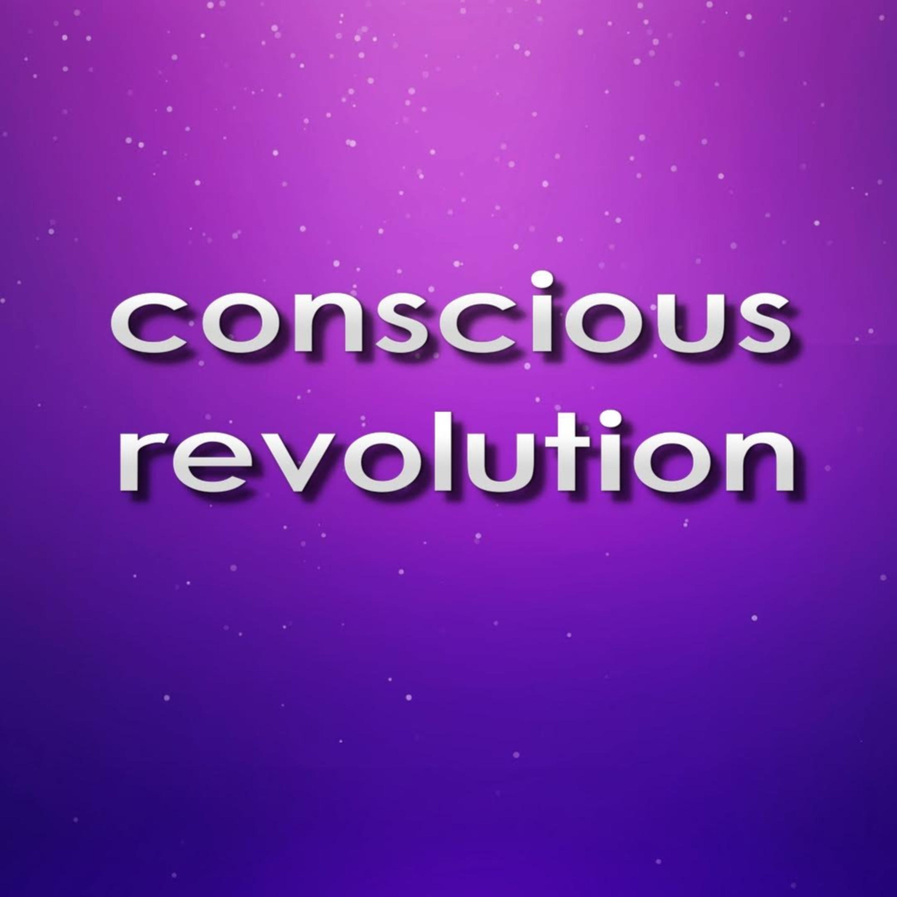 Conscious Revolution