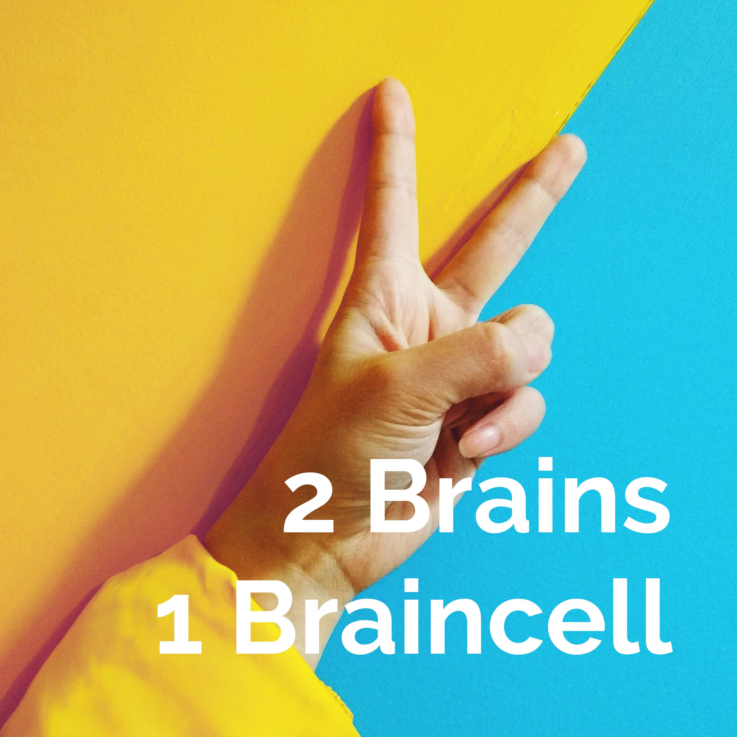 2 Brains 1 Braincell