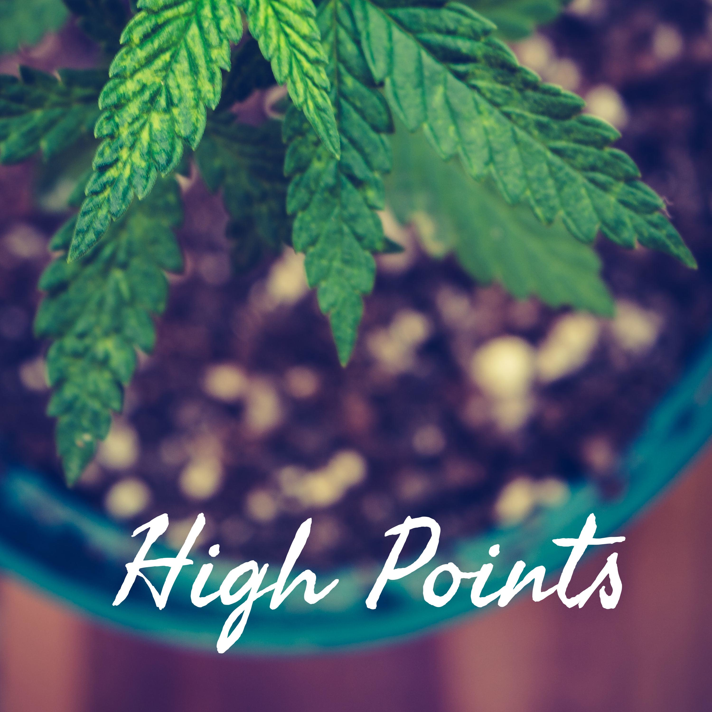 High Points podcast artwork