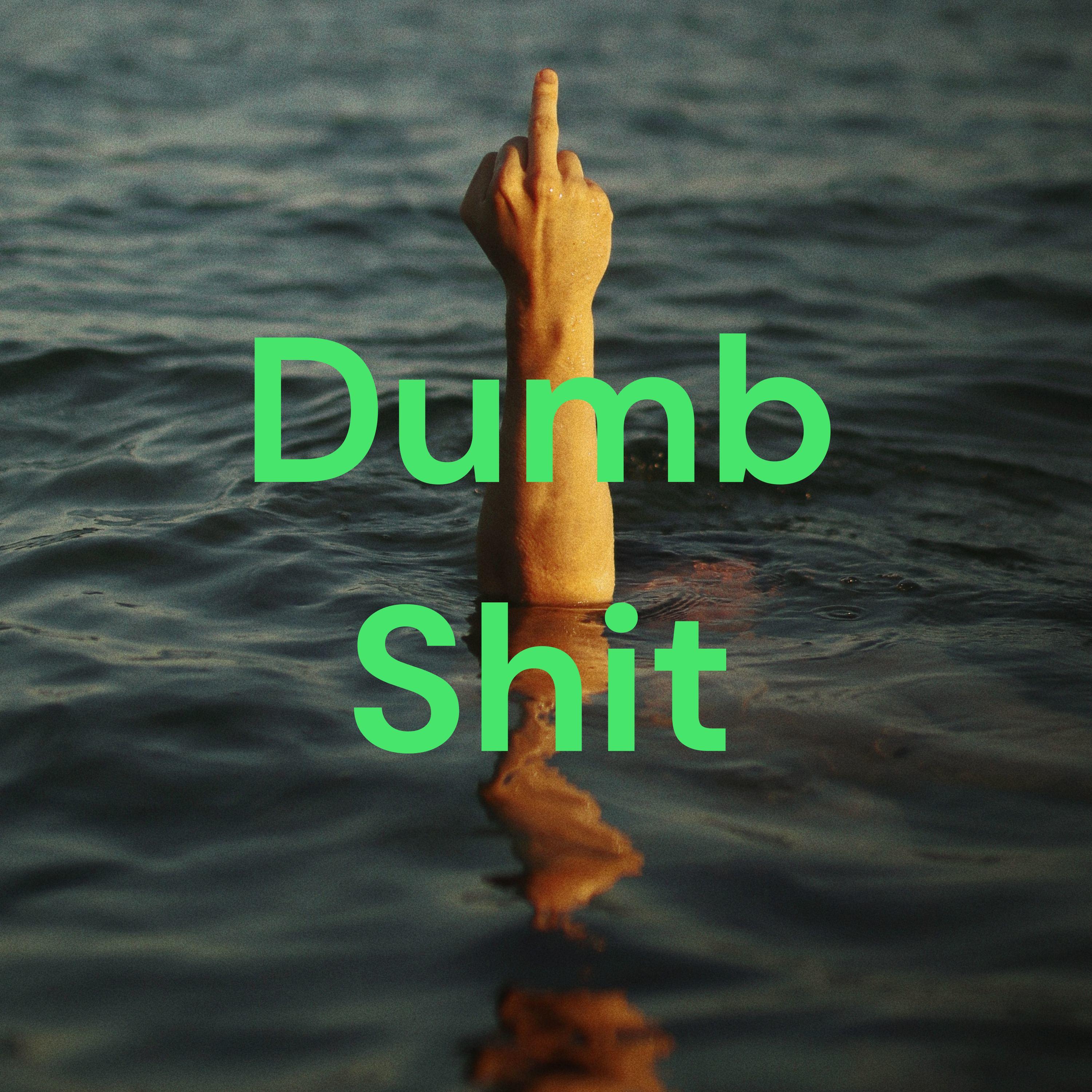 Dumb Shit cover art
