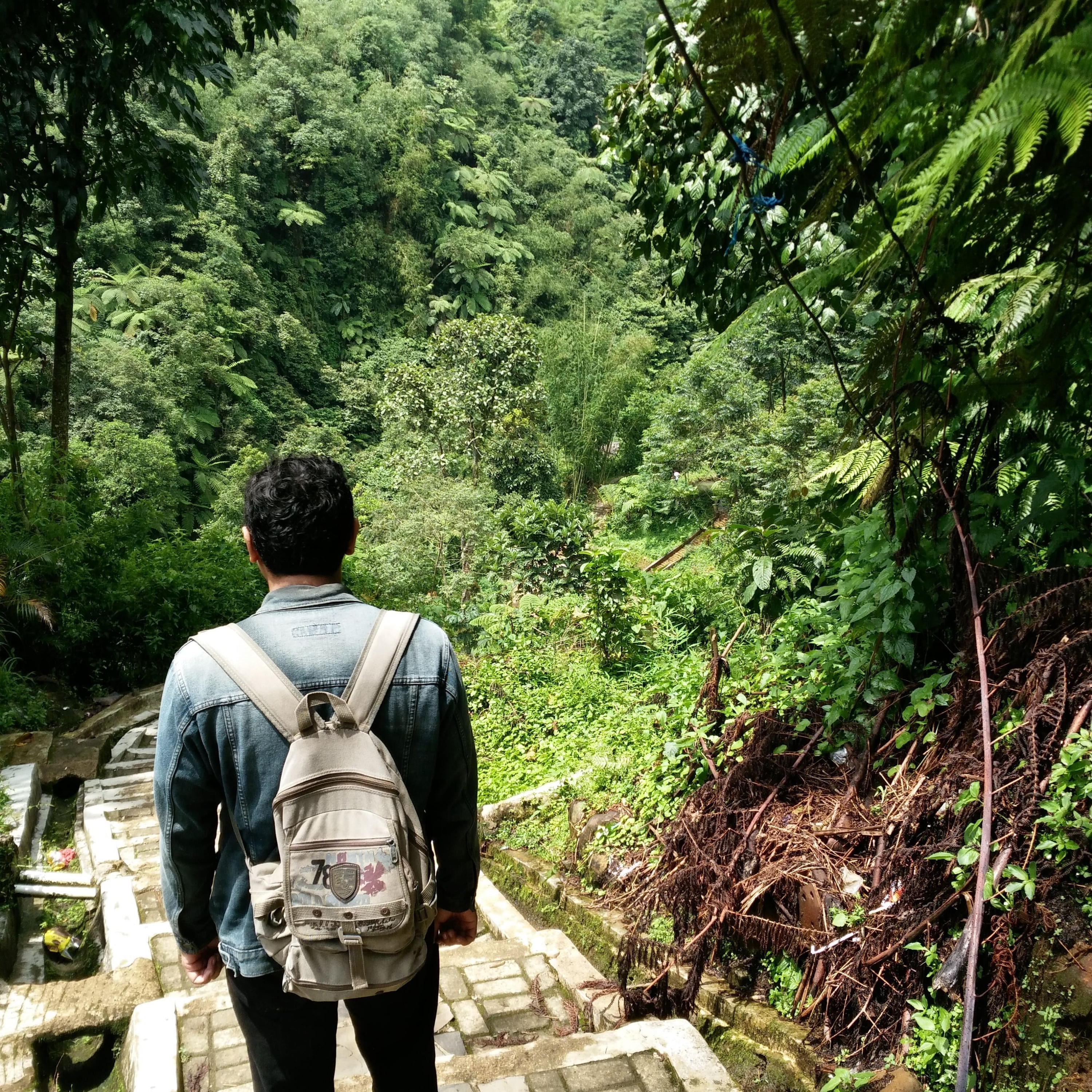 Ngepot - kes