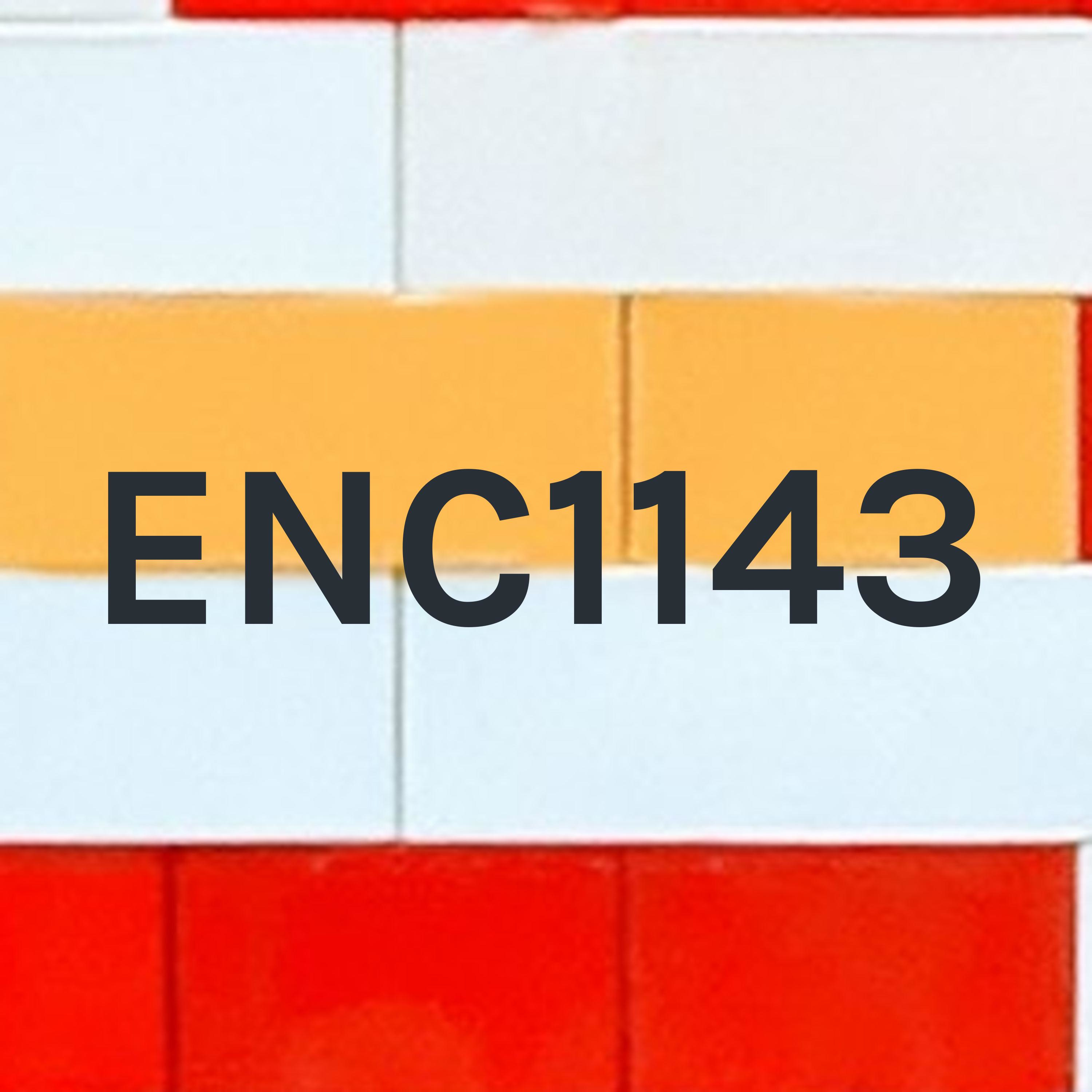 ENC2461 podcast artwork