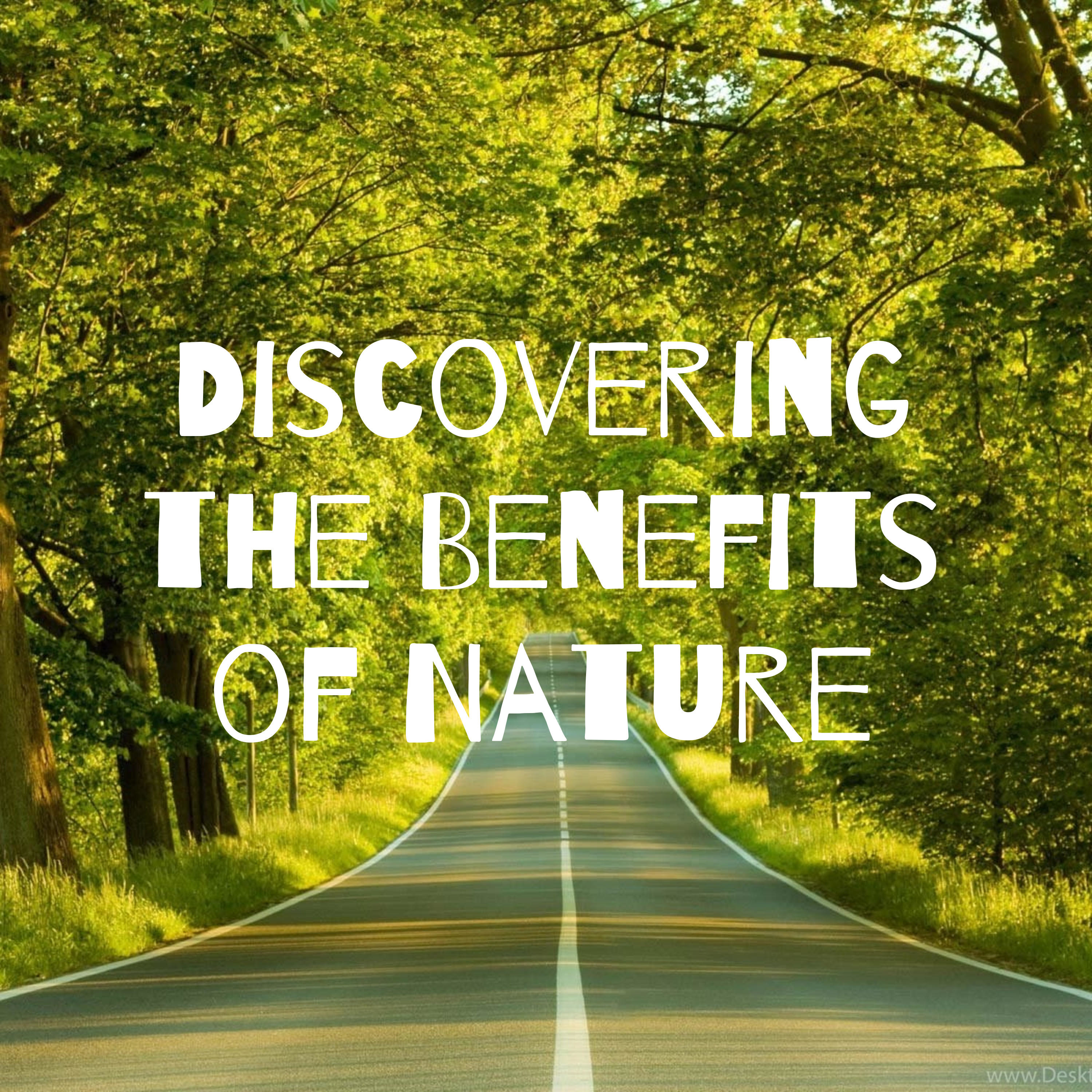 Discovering the Benefits of Nature