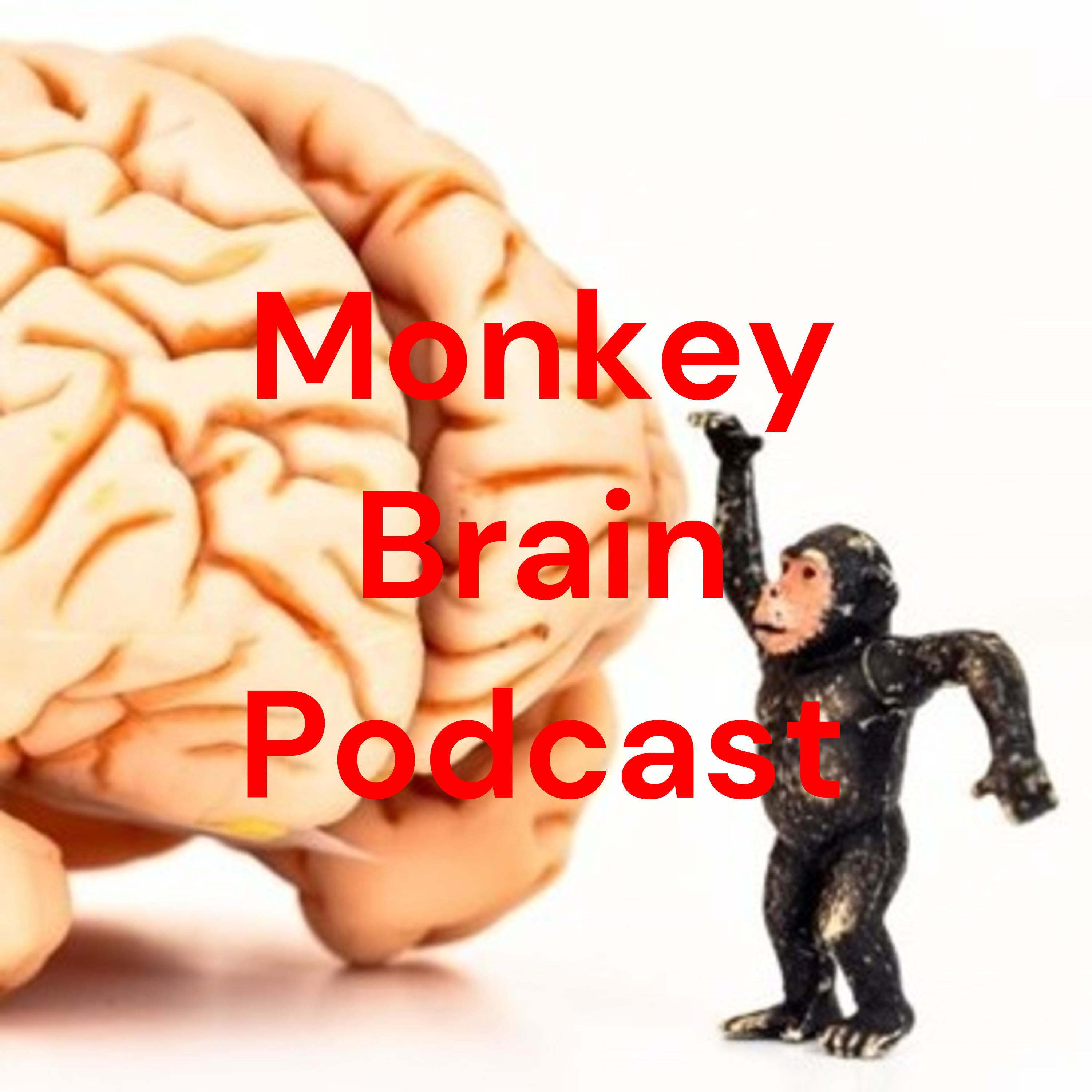 MONKEY BRAIN EP 12