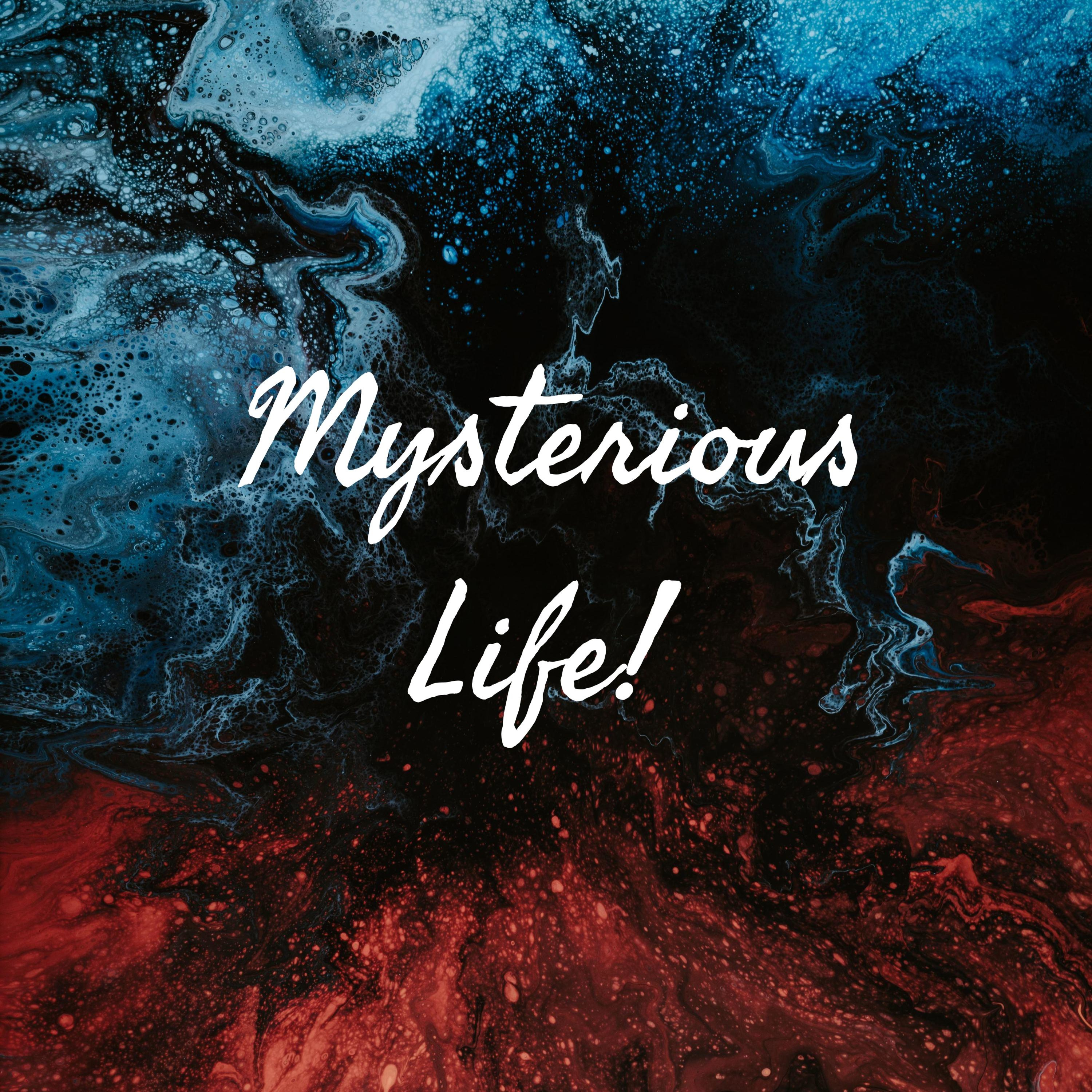 Mysterious Life!

