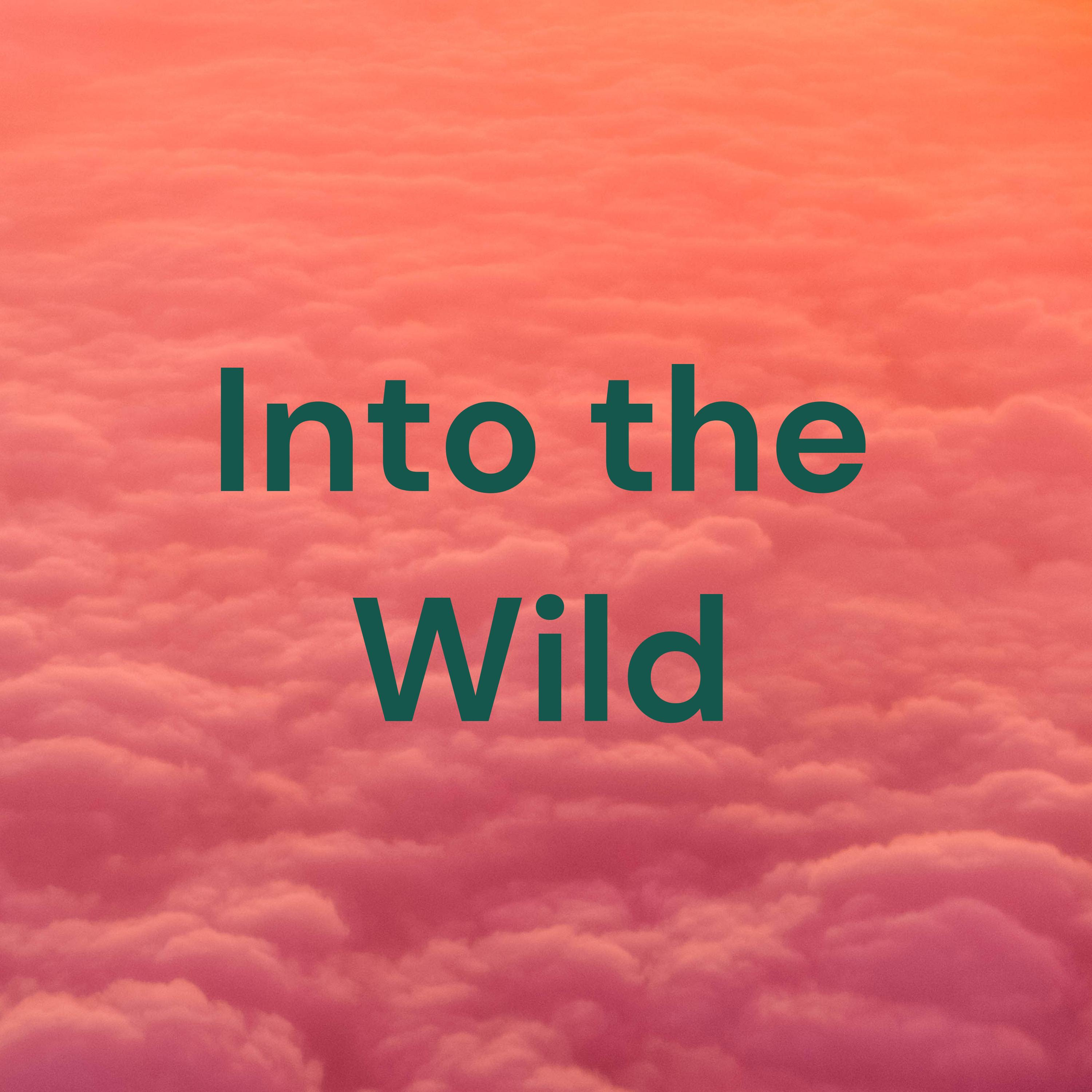 Into the Wild