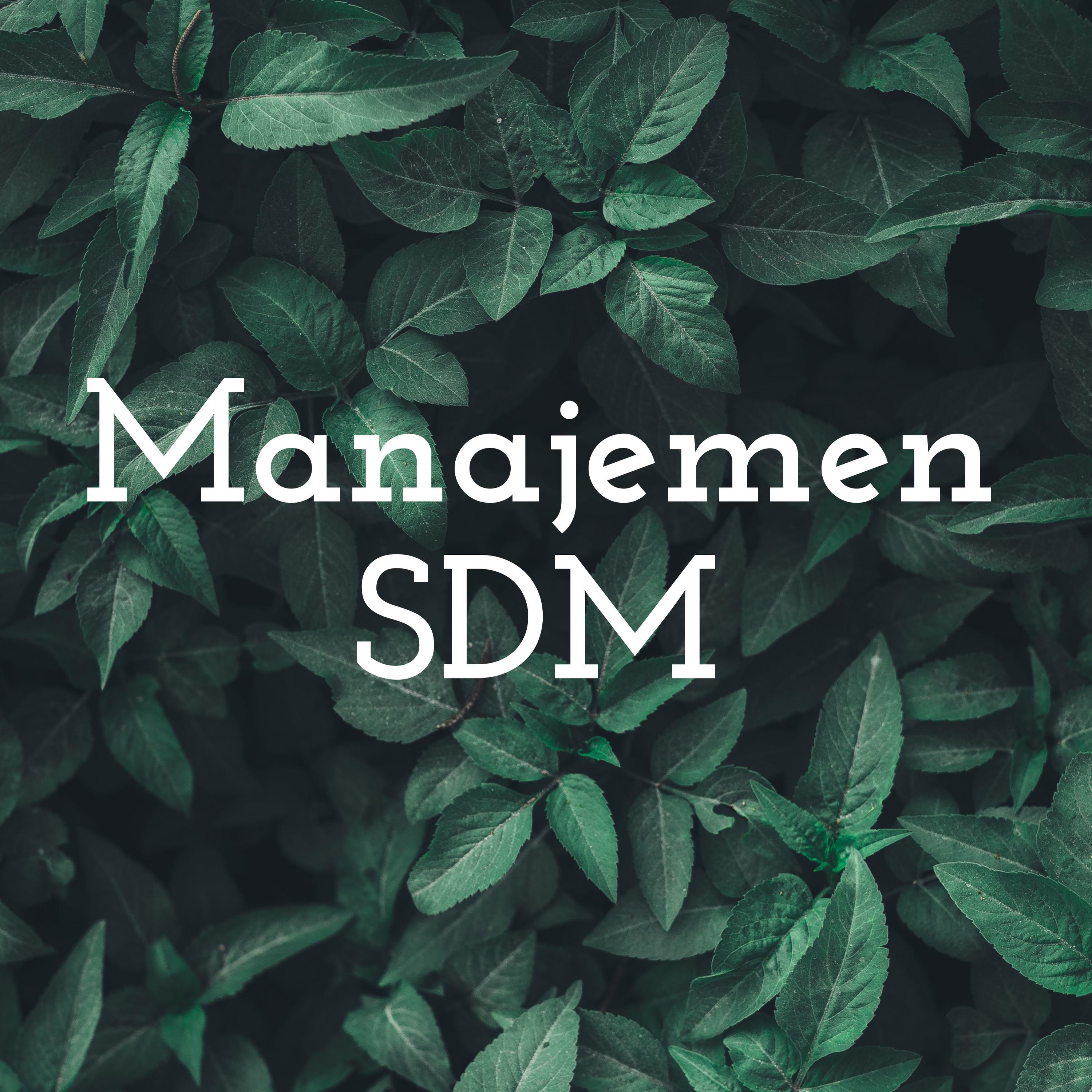 Manajemen SDM