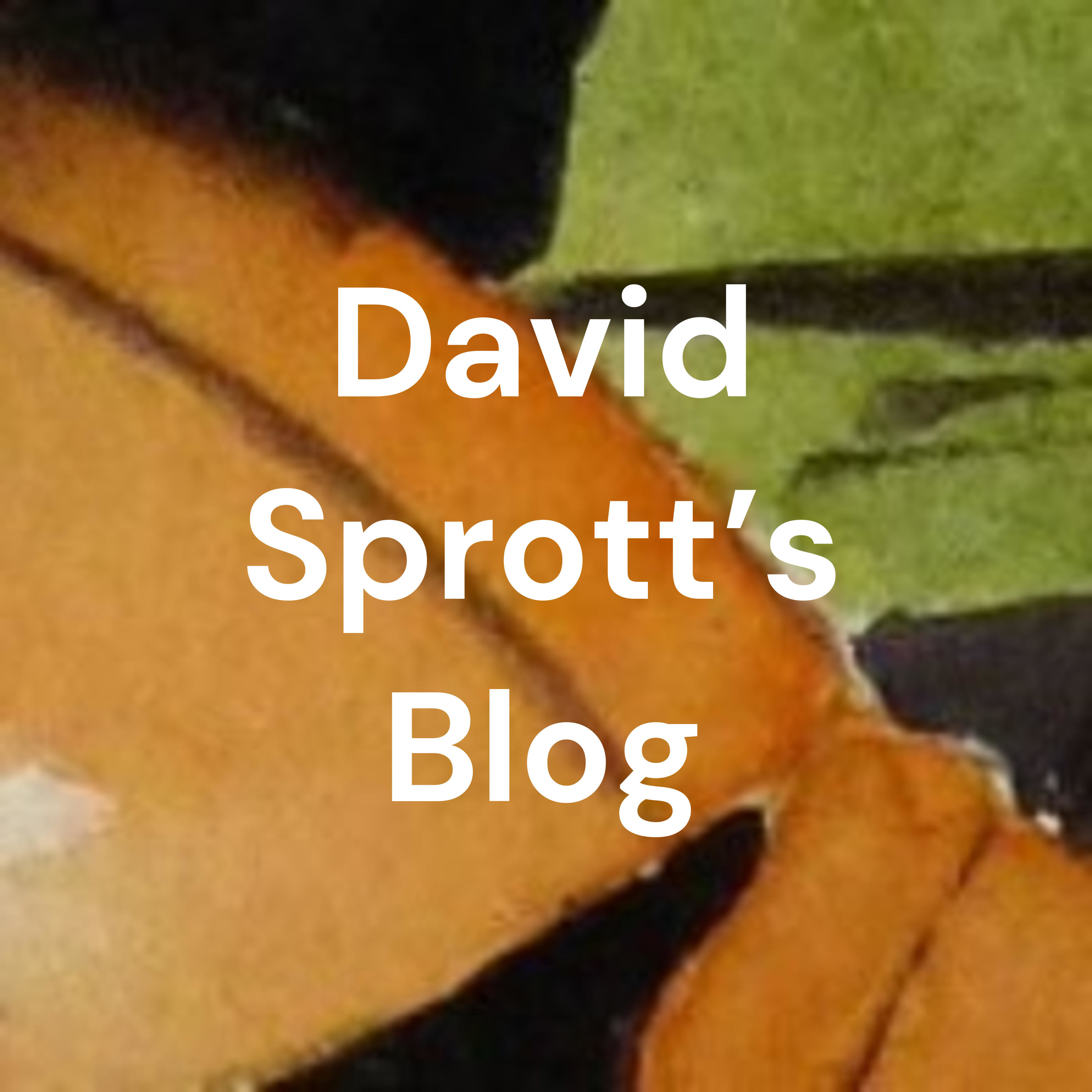 David Sprott's Blog