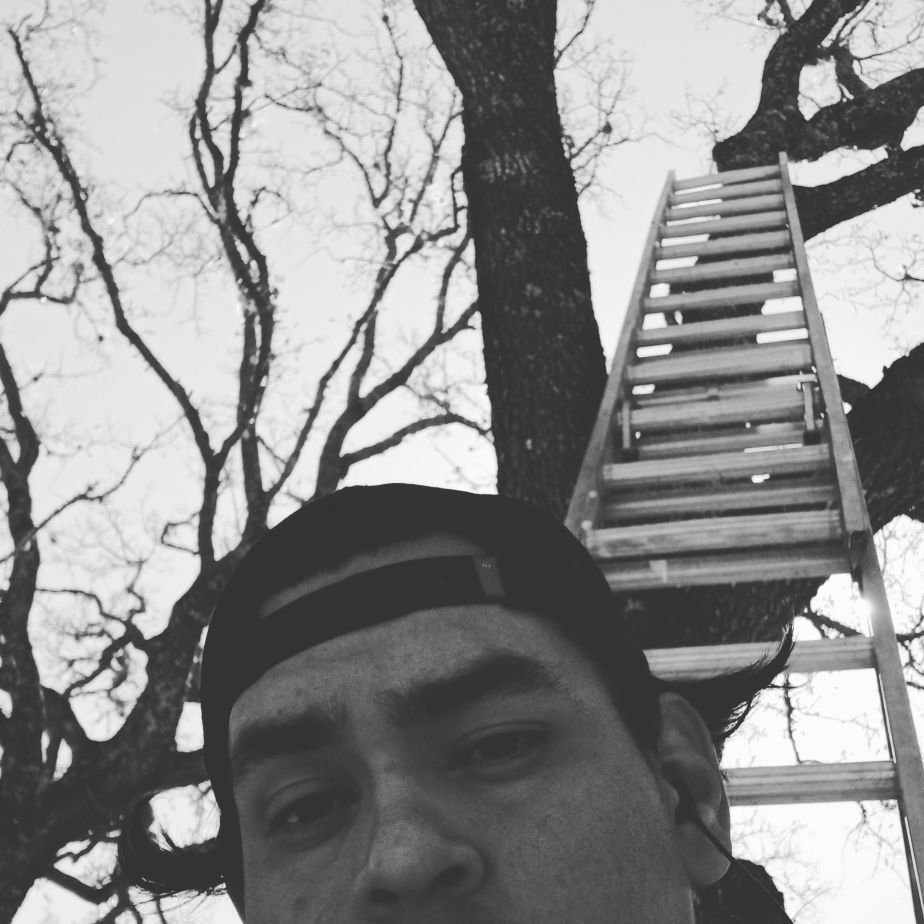 El Lado Oscuro De La Luna