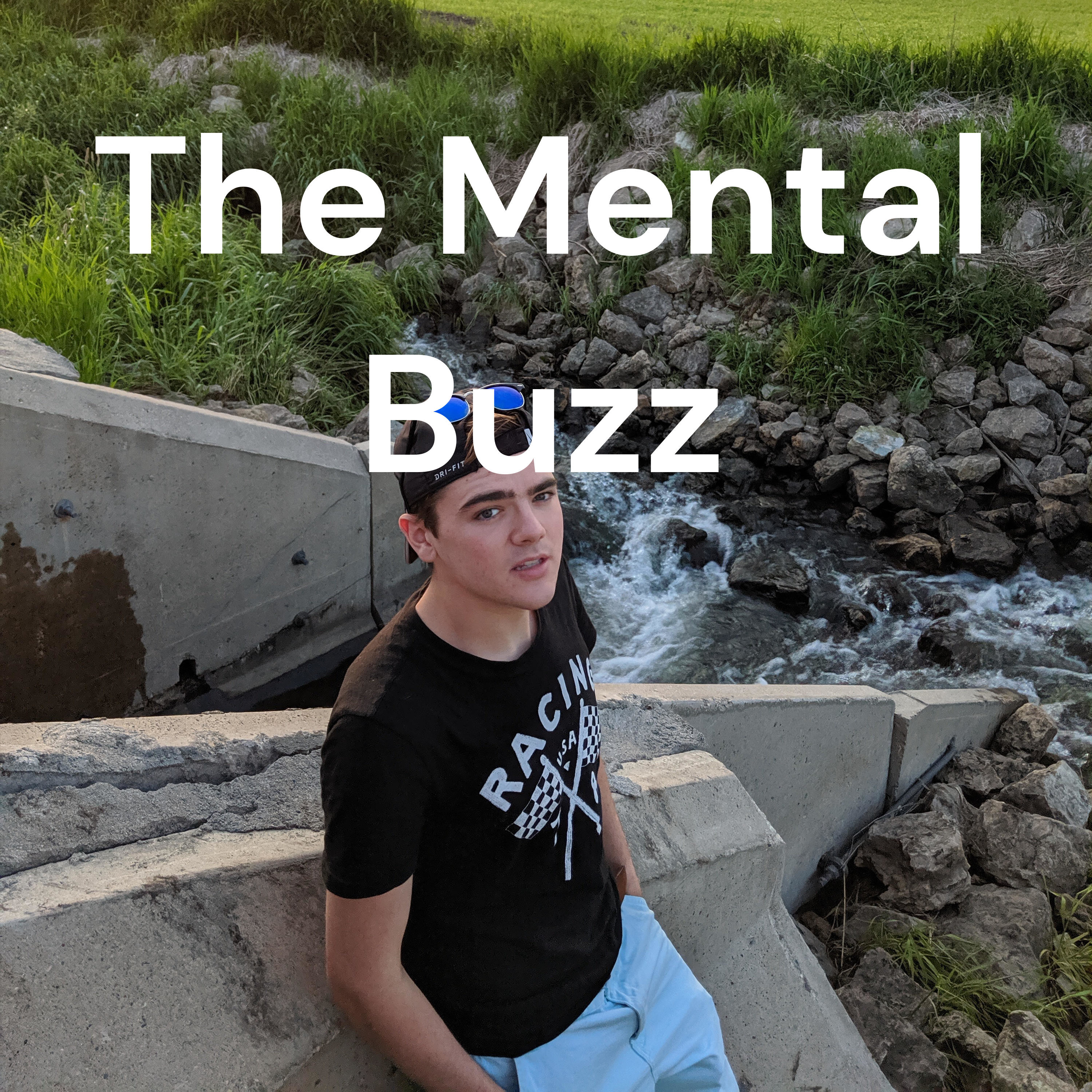 The Mental Buzz
