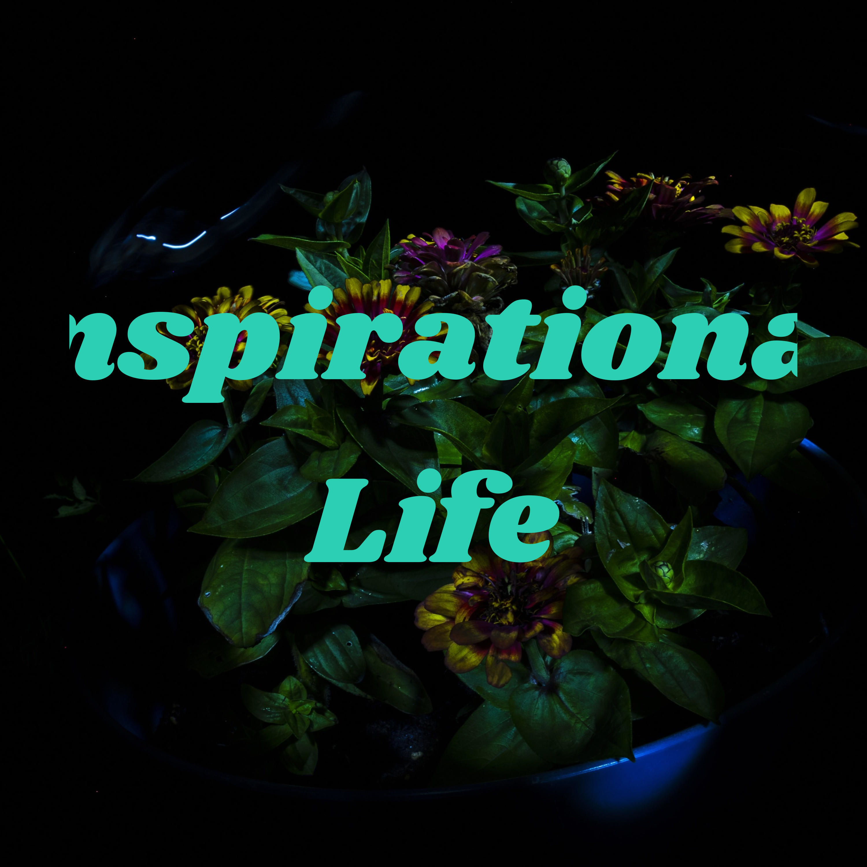 Inspirational Life