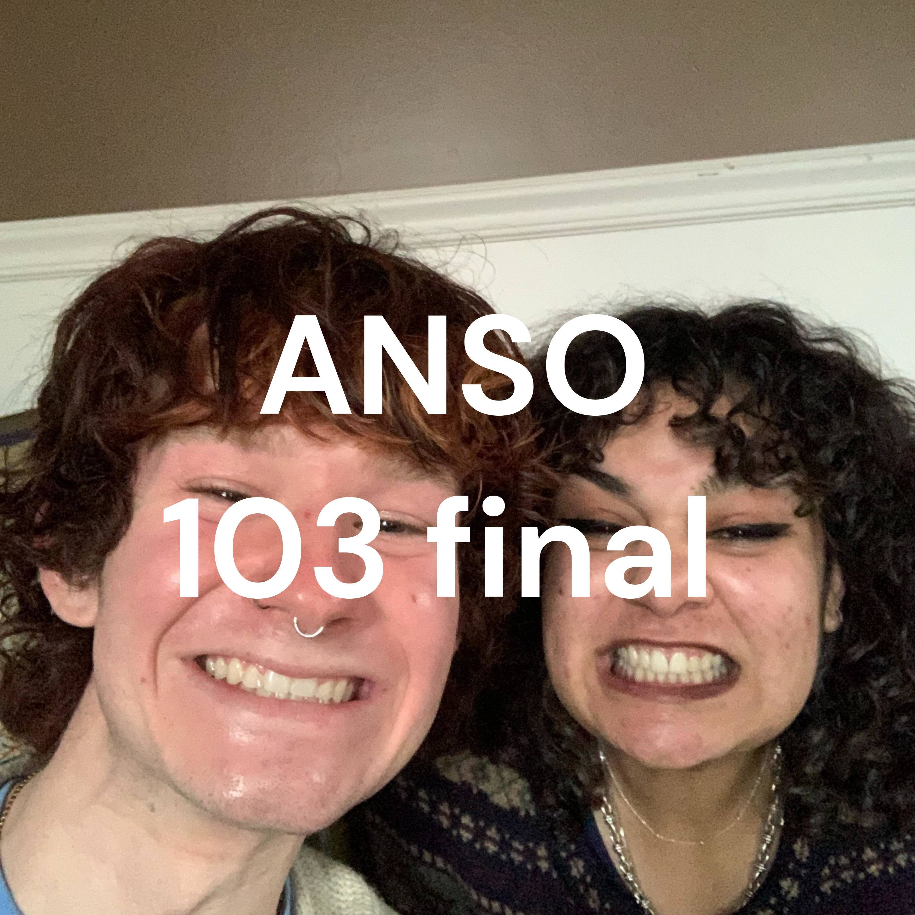 ANSO 103 final 