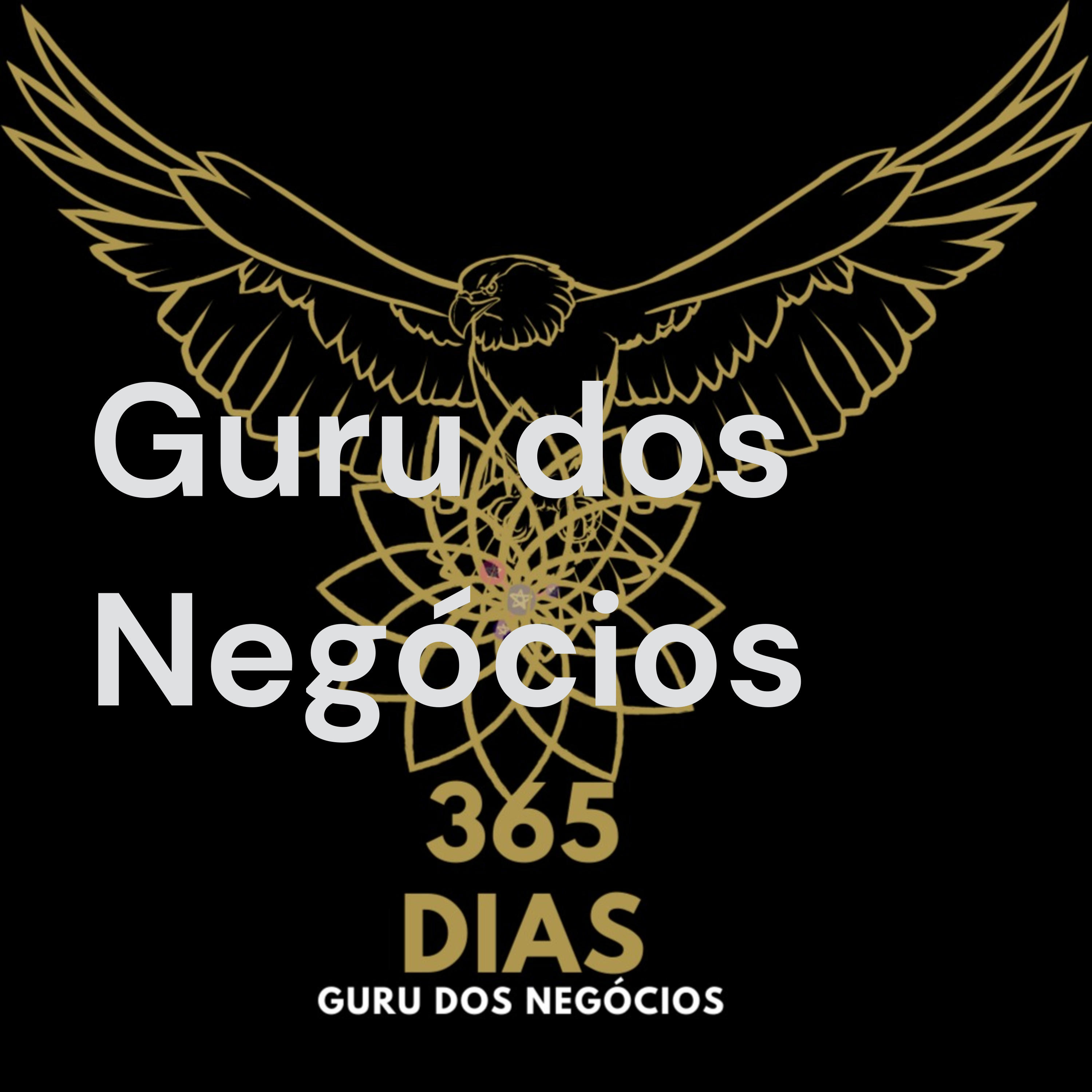 Guru dos Negócios podcast artwork