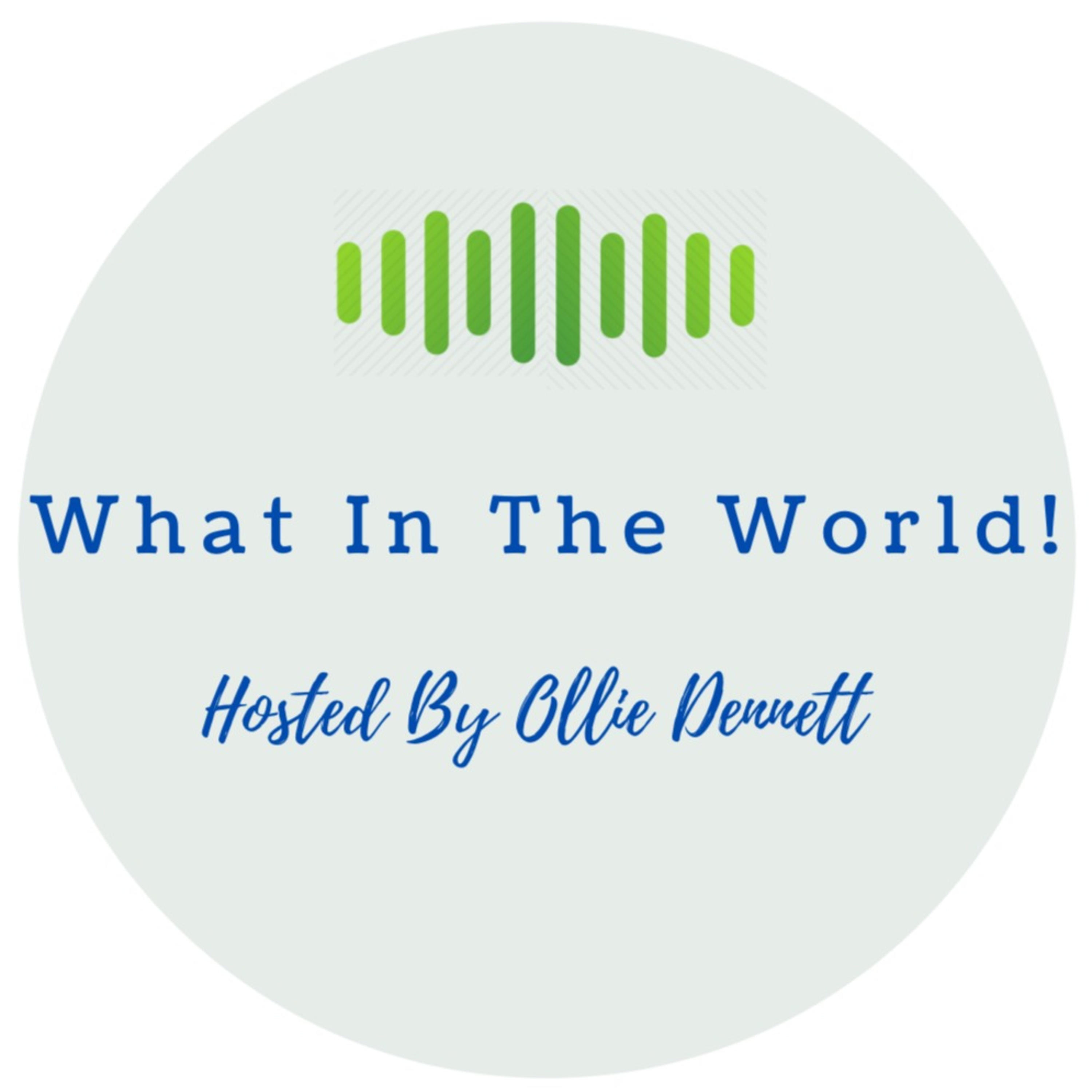 What In The World podcast artwork