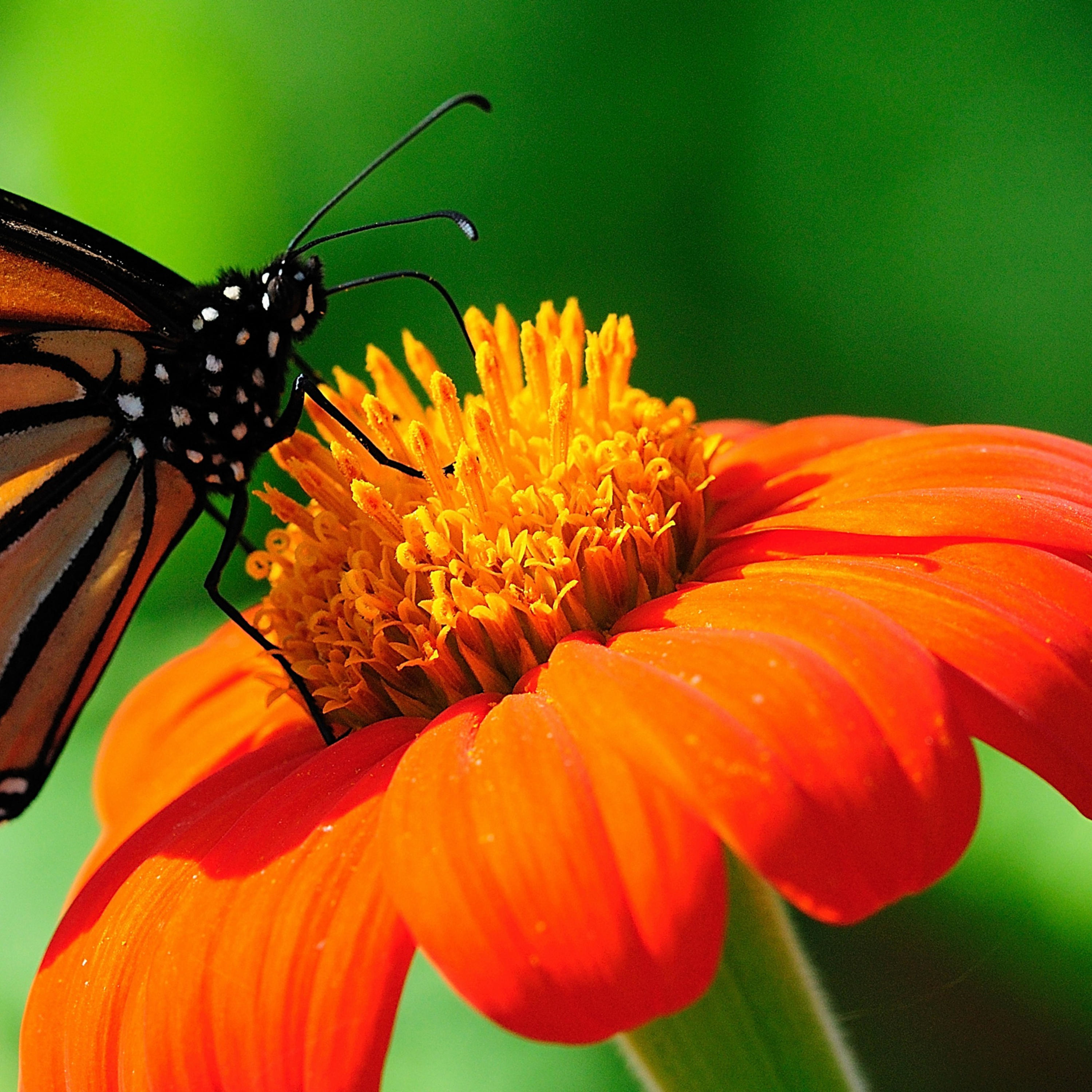 Bienvenida al curso de Bioquímica