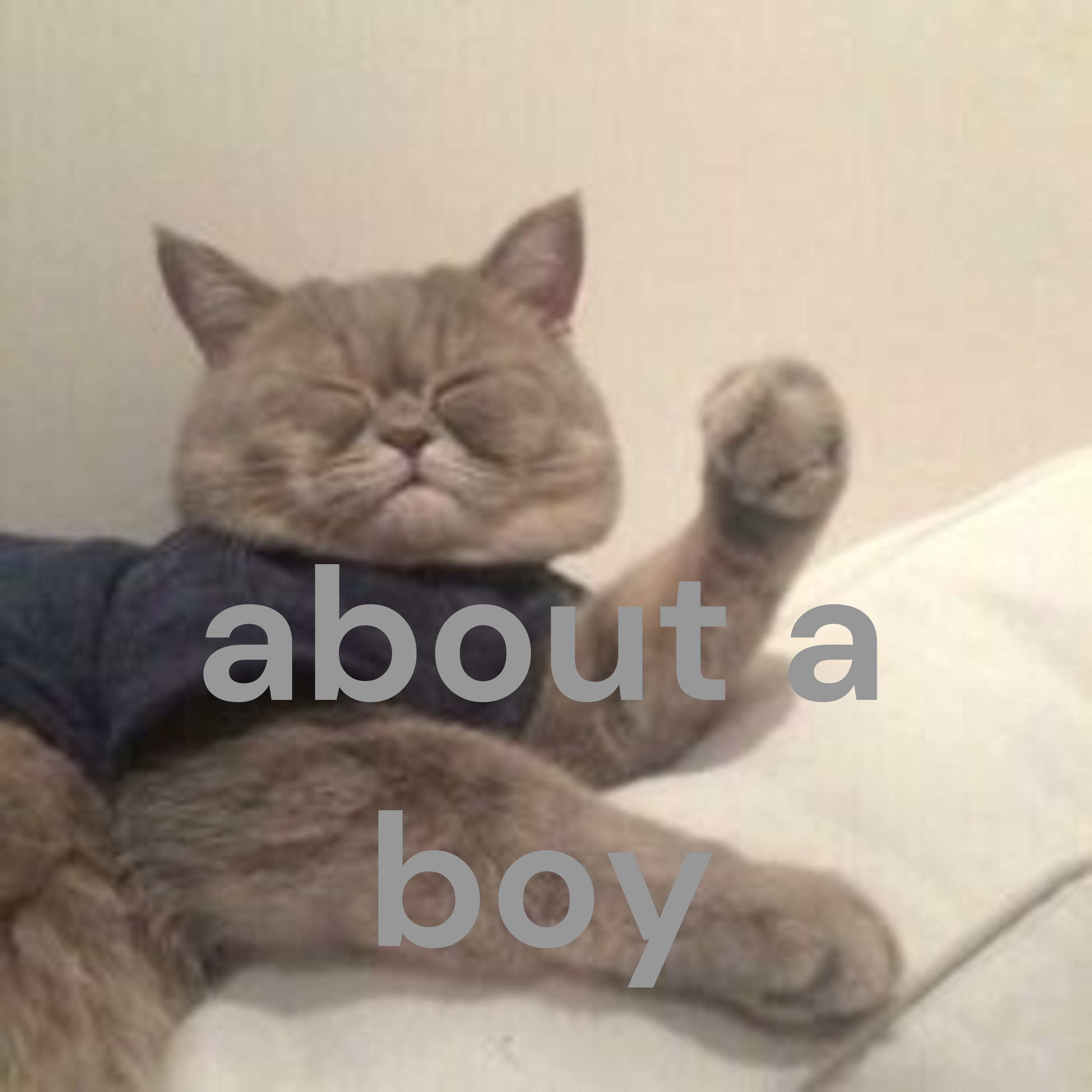 about a boy