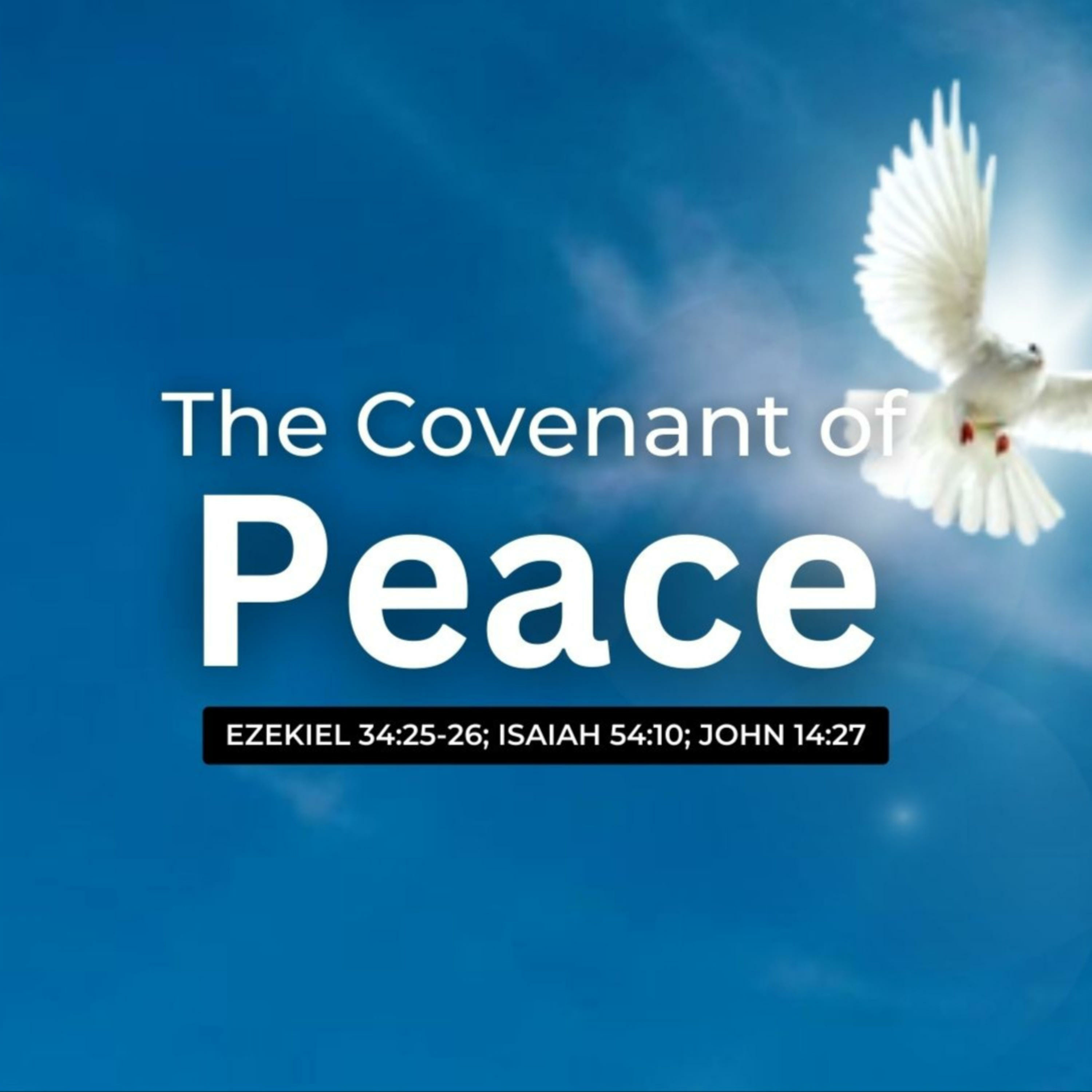 JESUS OUR PEACE - Pst Bernice Aliyu (MARCH 8, 2023) episode artwork