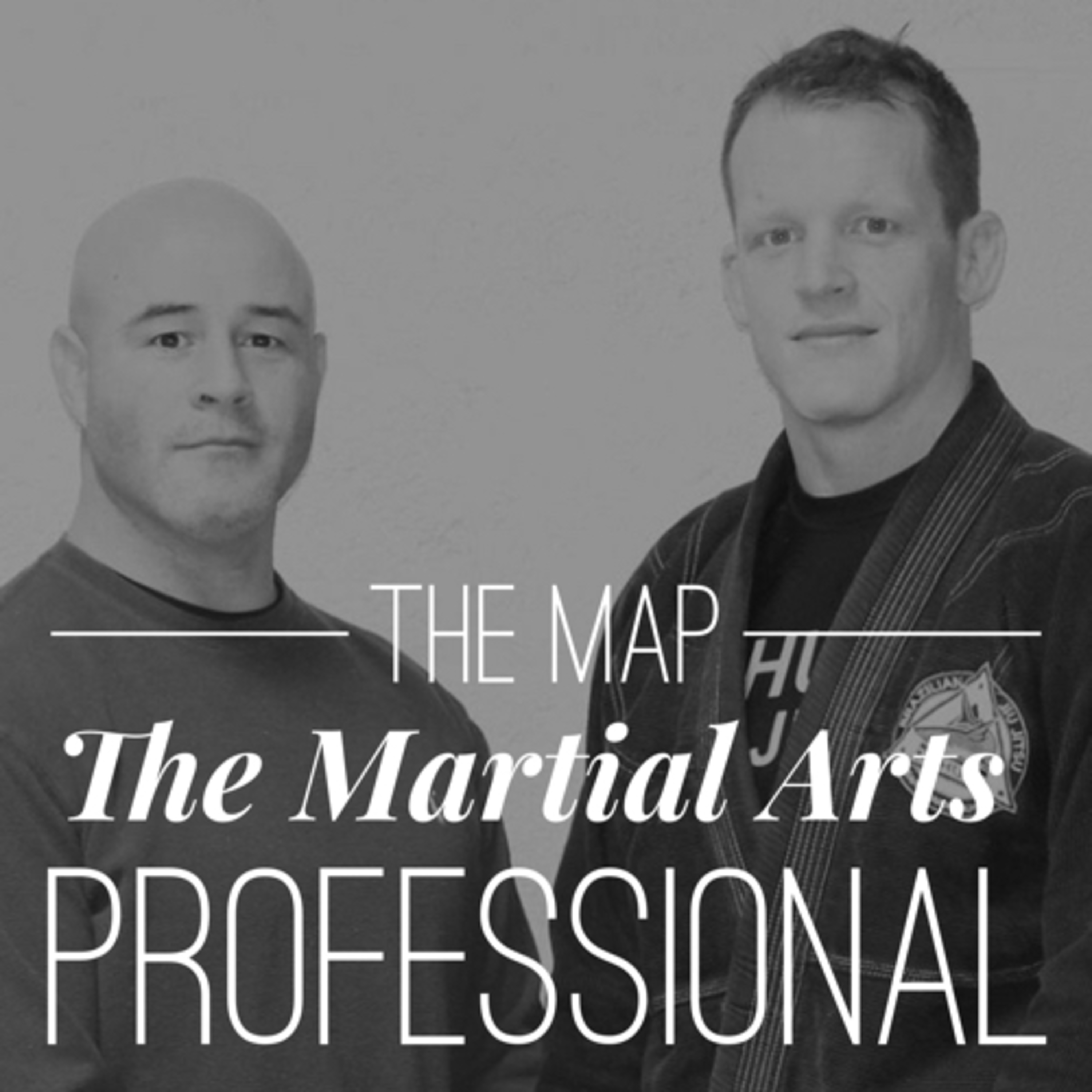 The MAP Martial Arts Professional