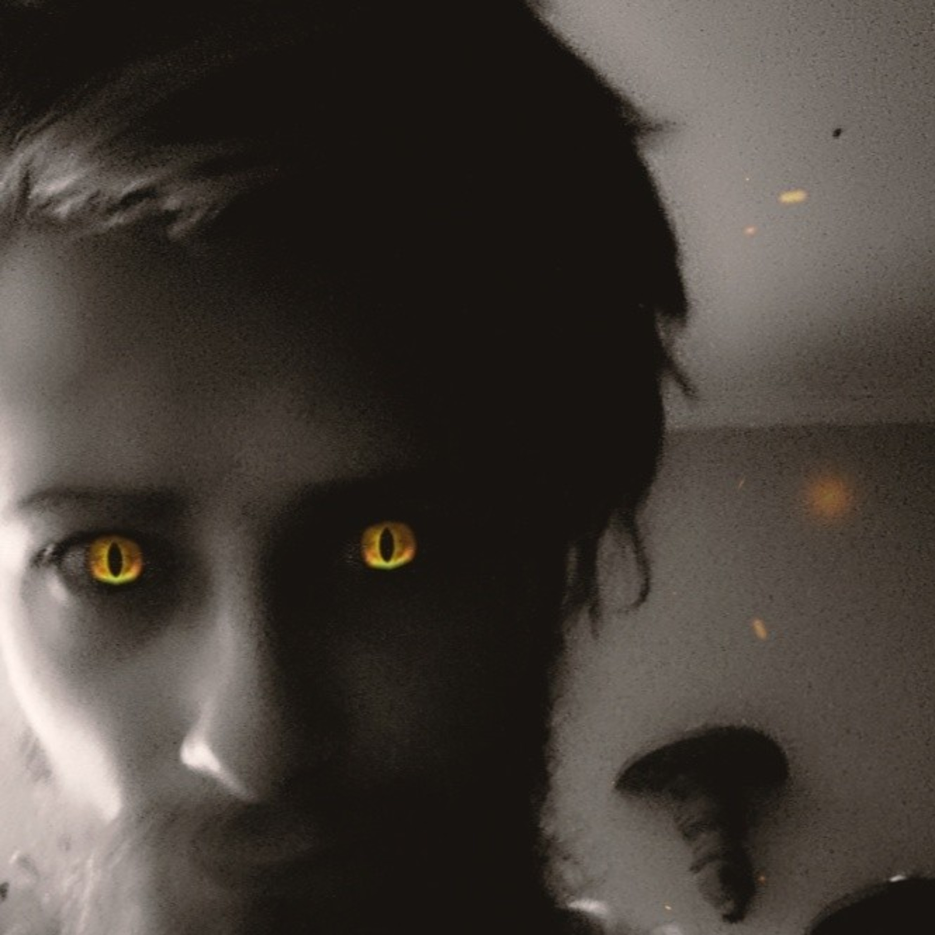 Våra Små Samtal cover art